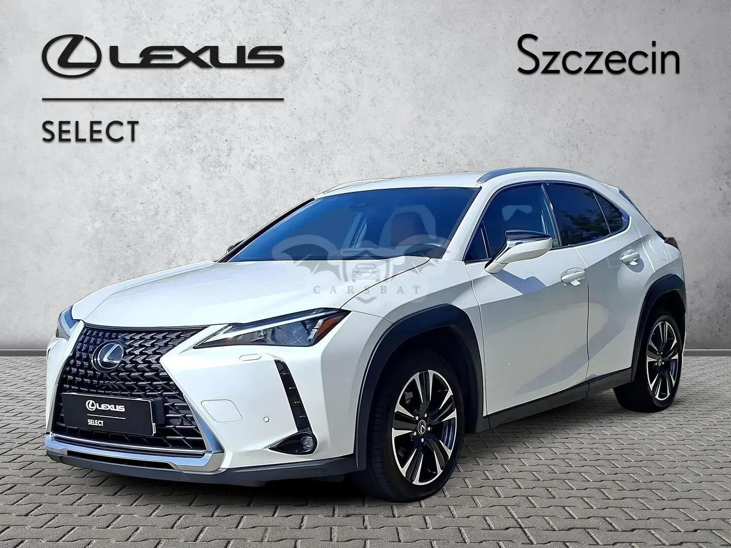 Lexus UX 250h GPF Business 2WD 2023
