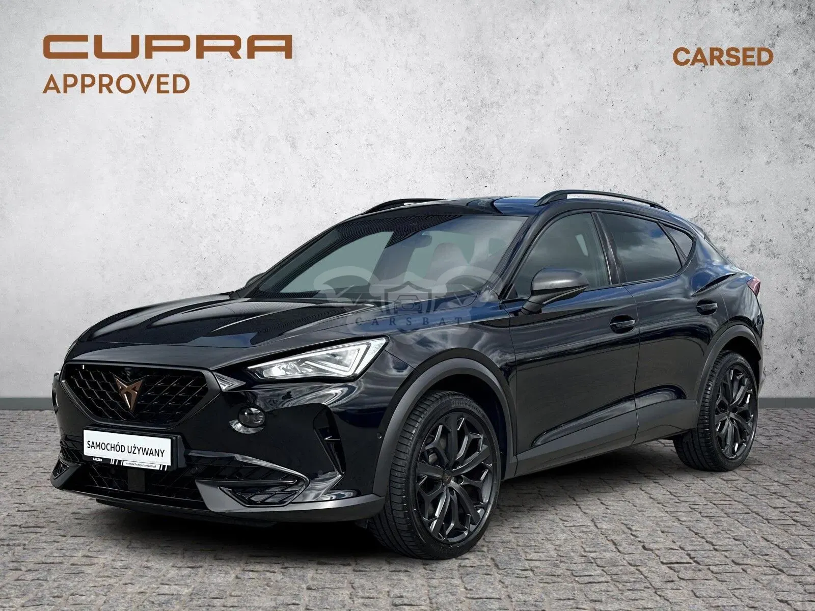 Cupra Formentor 2.0 TSI 4Drive VZ Tribe Edition DSG 2024