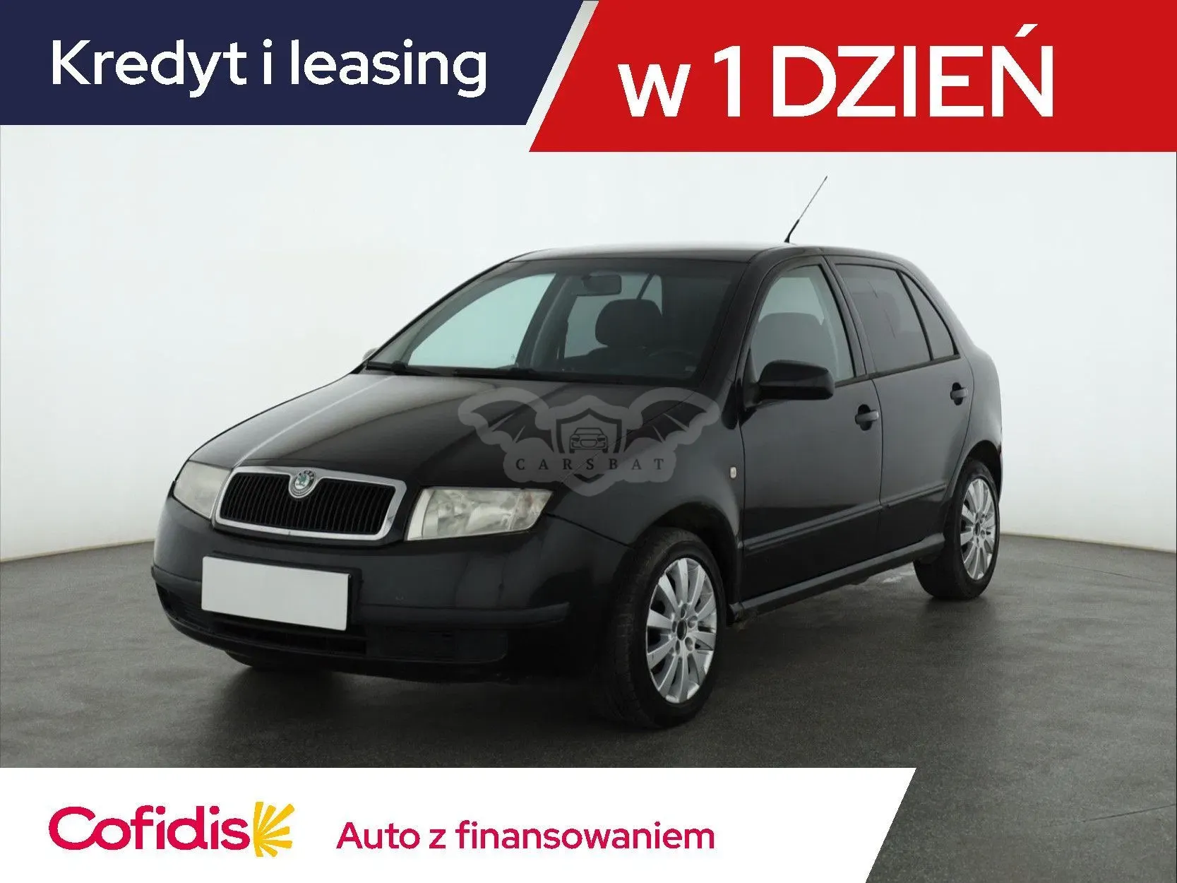 Skoda Fabia I (1999-2008) 2003