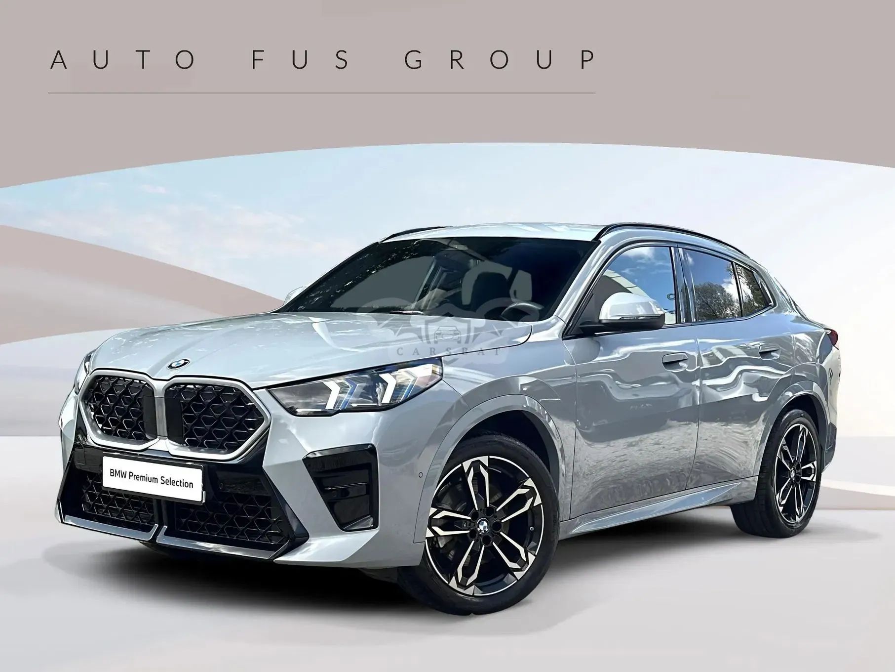 BMW X2 U10 (2023-) sDrive20i mHEV M Sport 2025