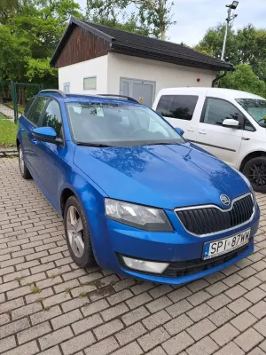 Skoda Octavia III (2013-) 2.0 TDI 4x4 Ambition 2013