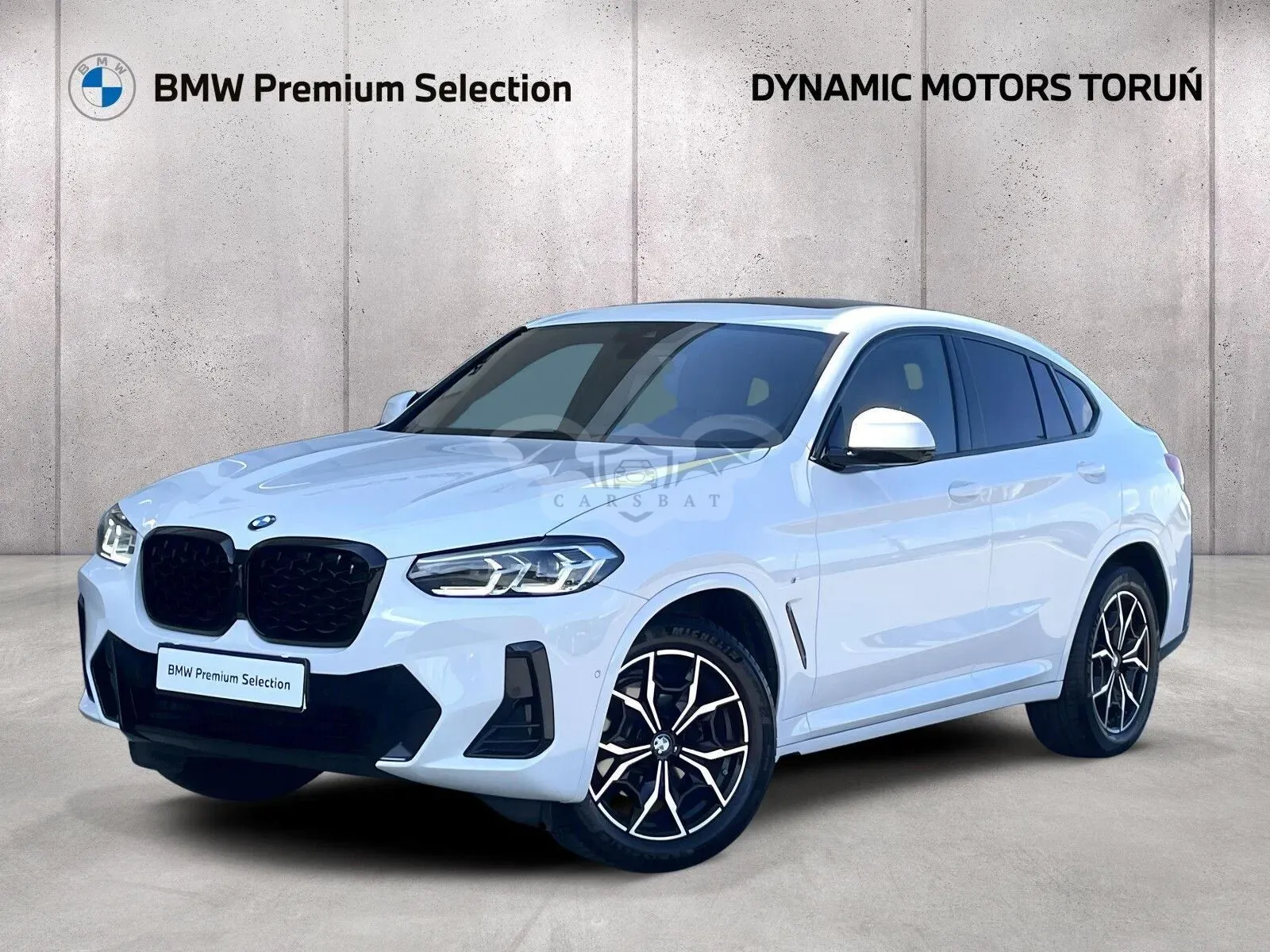 BMW X4 G02 (2018-) xDrive20d mHEV M Sport sport 2025