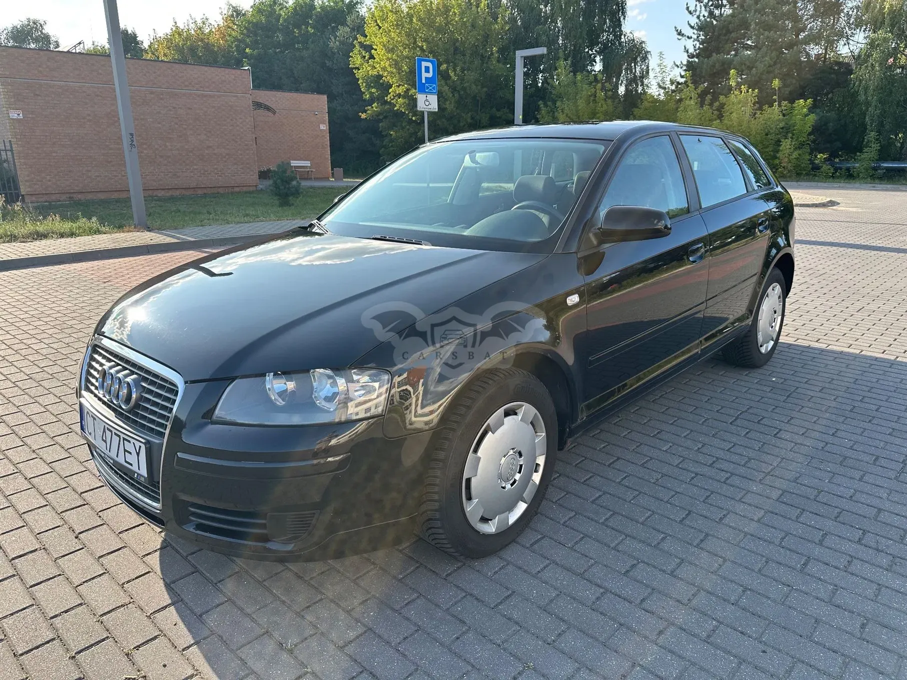 Audi A3 8P (2003-2012) 1.9 TDI DPF Ambition 2006