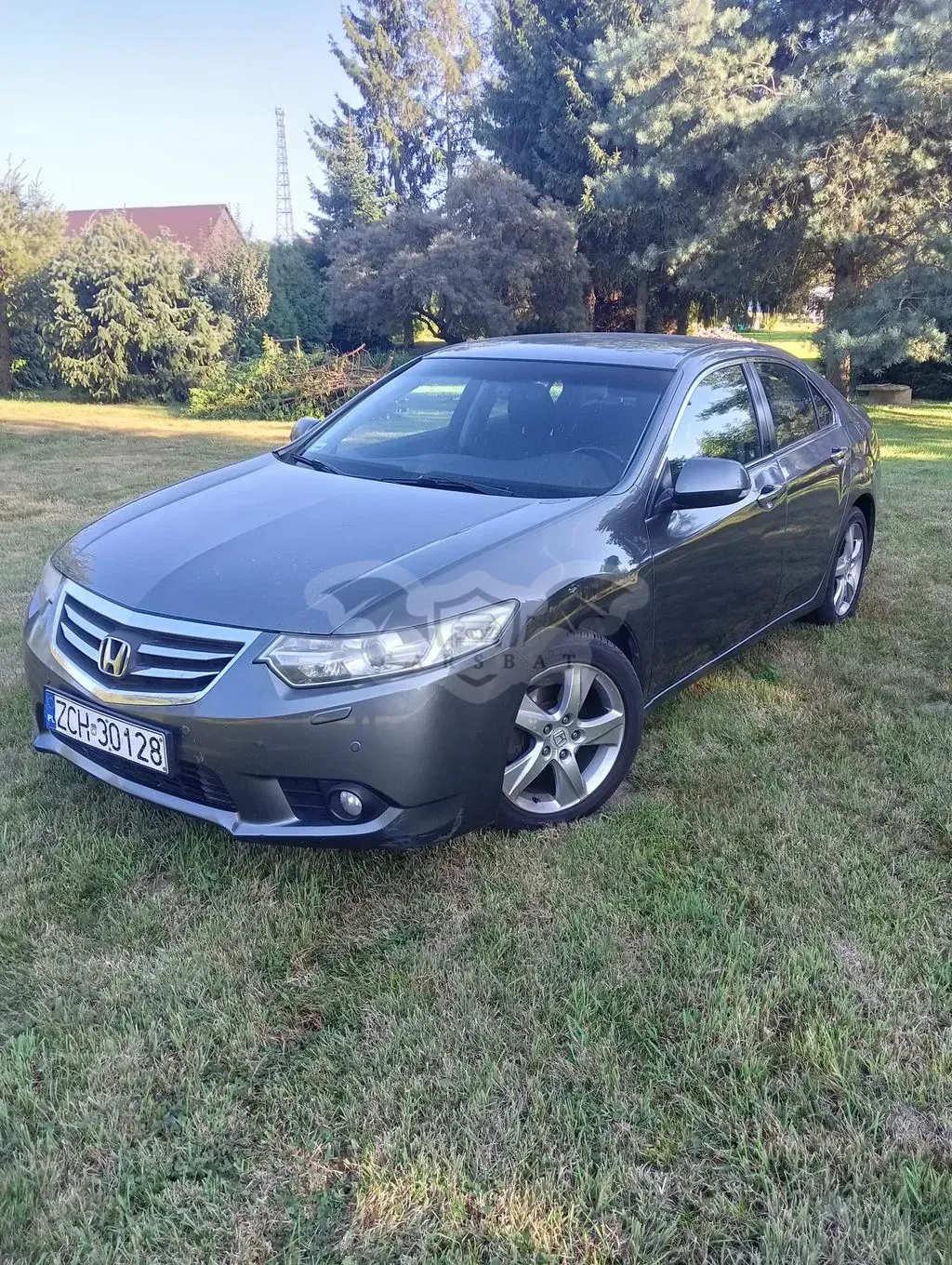 Honda Accord VIII (2008-2015) 2011