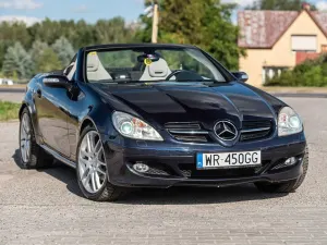 Mercedes-Benz SLK R171 (2004-2011) 2007