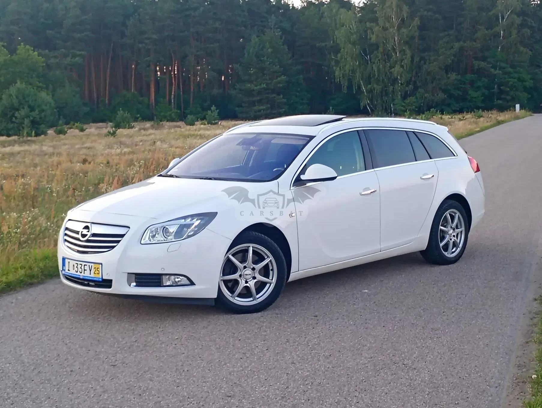 Opel Insignia A (2008-2017) 2.0 CDTI EcoFLEX Start/Stop Edition 2013