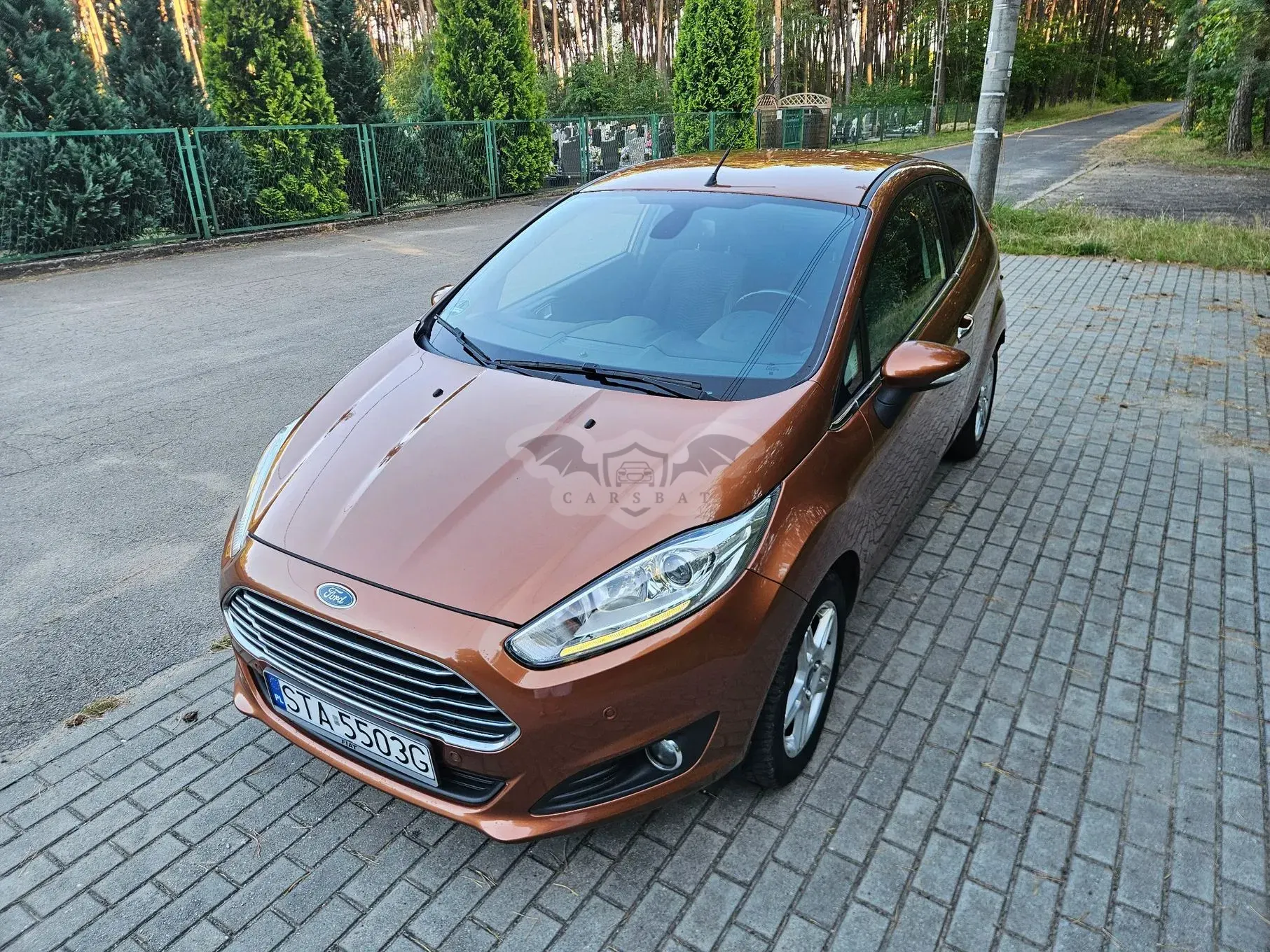 Ford Fiesta Mk7 (2008-) 1.0 EcoBoost Titanium X 2013