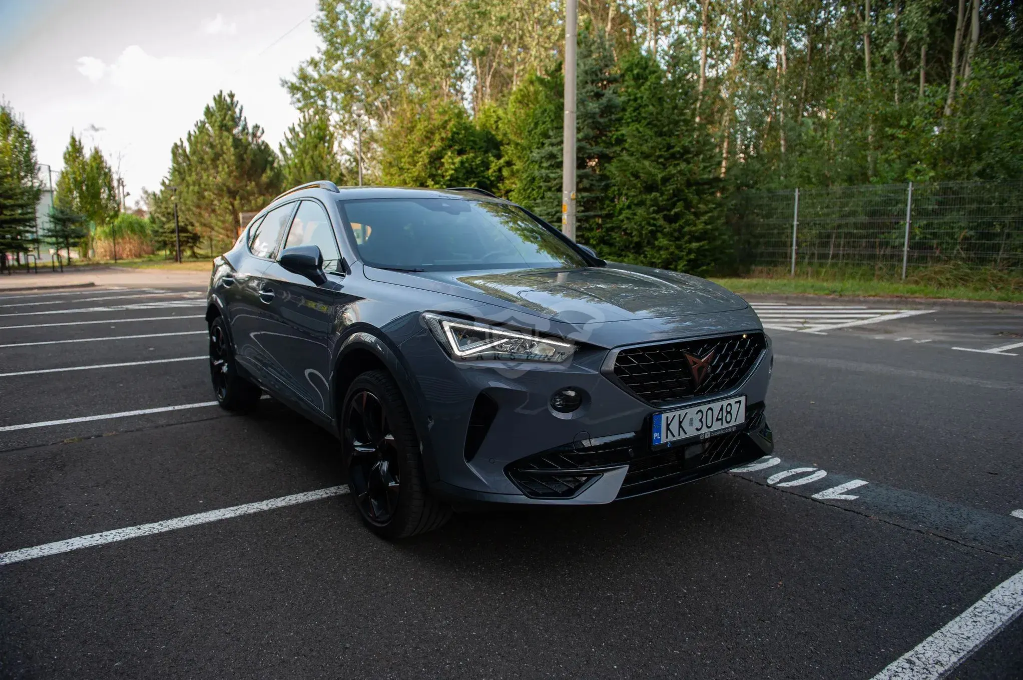 Cupra Formentor 2.0 TSI 4Drive DSG 2024