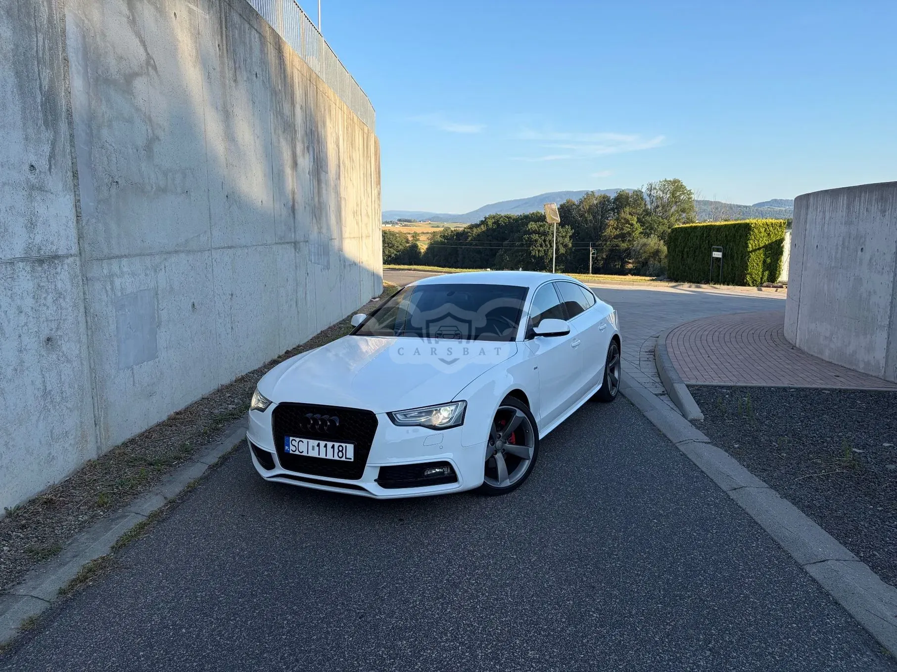 Audi A5 8T (2007-2016) 1.8 TFSI 2012