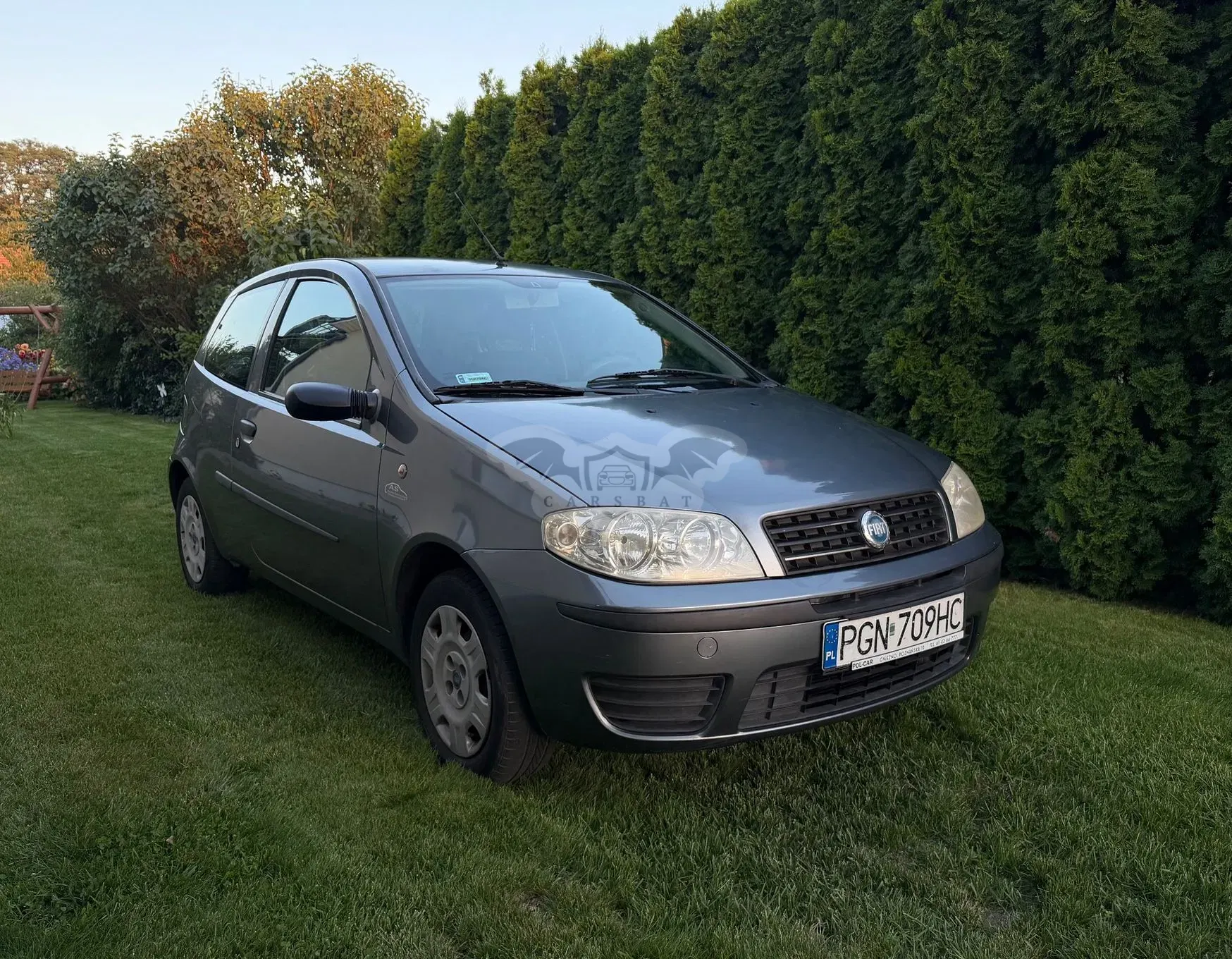Fiat Punto II FL (2003-) 1.2 8V 2004