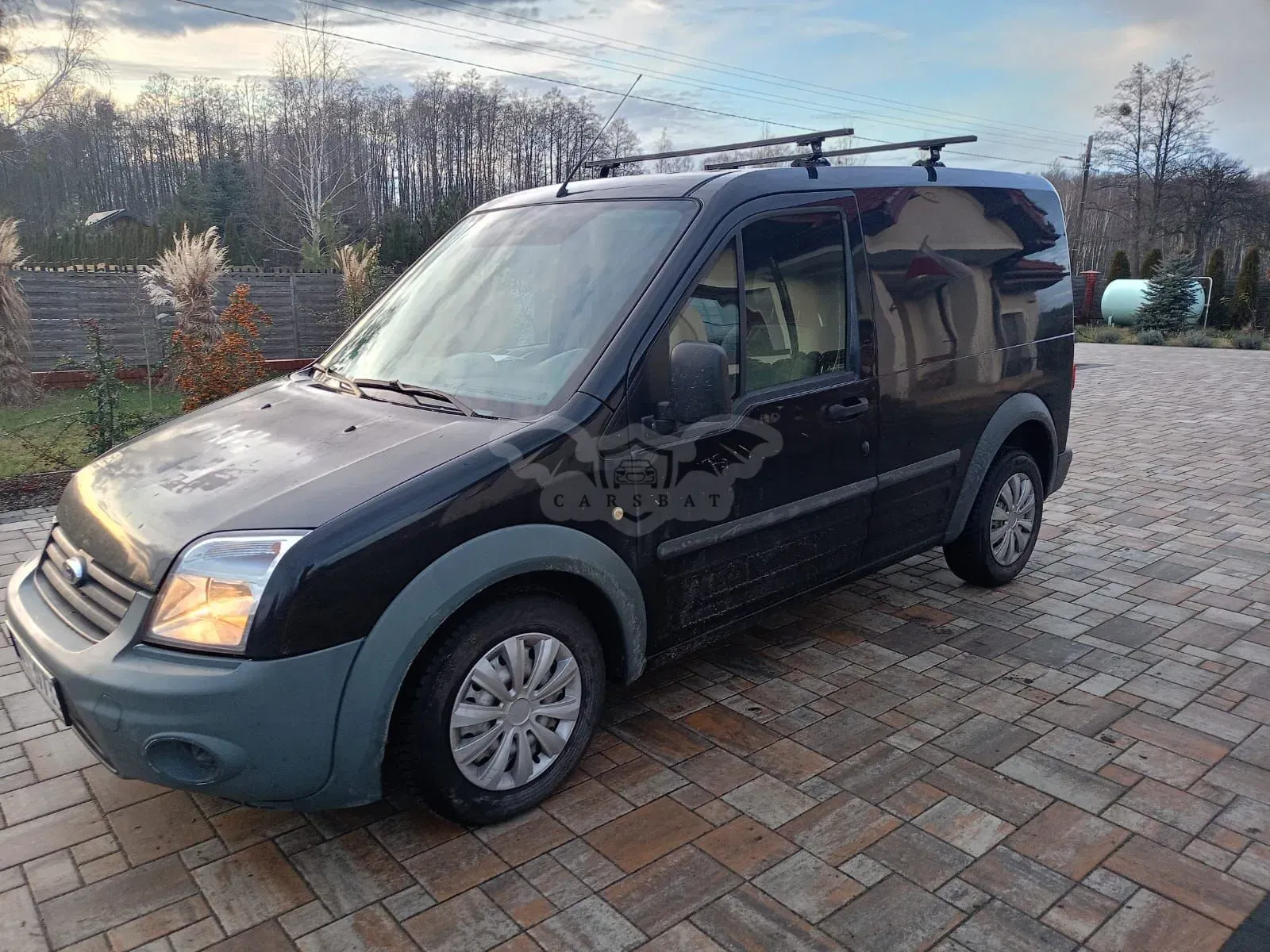Ford Transit Connect I (2002-2013) 2011