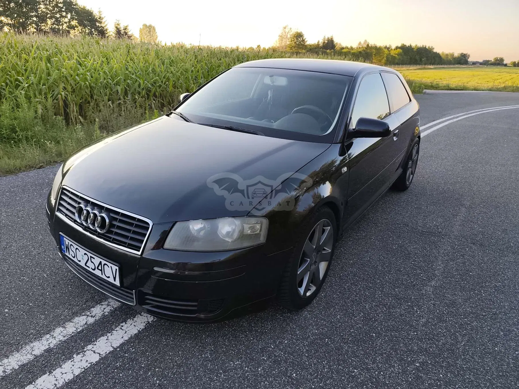 Audi A3 8P (2003-2012) 1.6 Ambition 2004