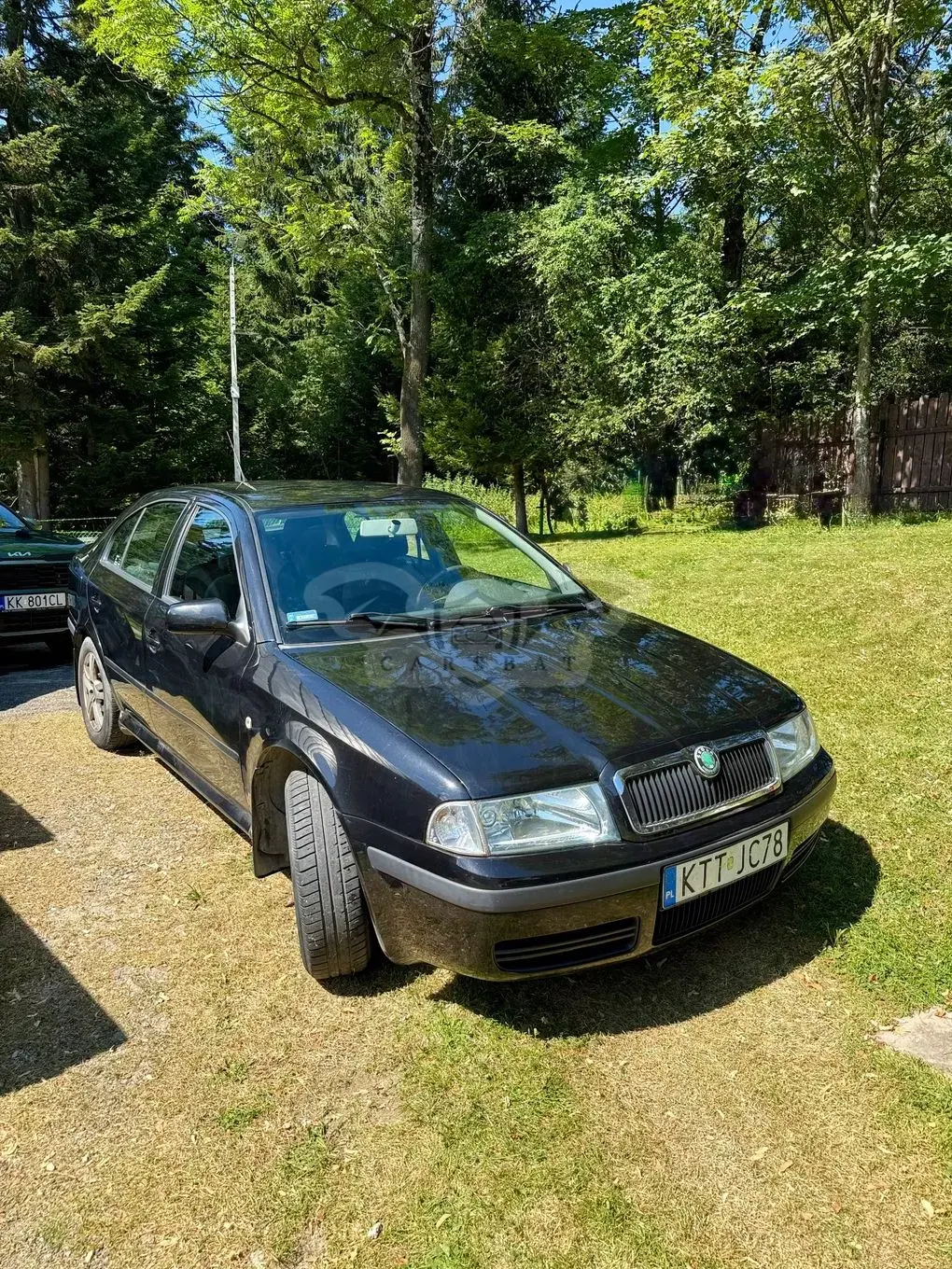 Skoda Octavia I (1996-2011) 1.9 TDI Tour 2007