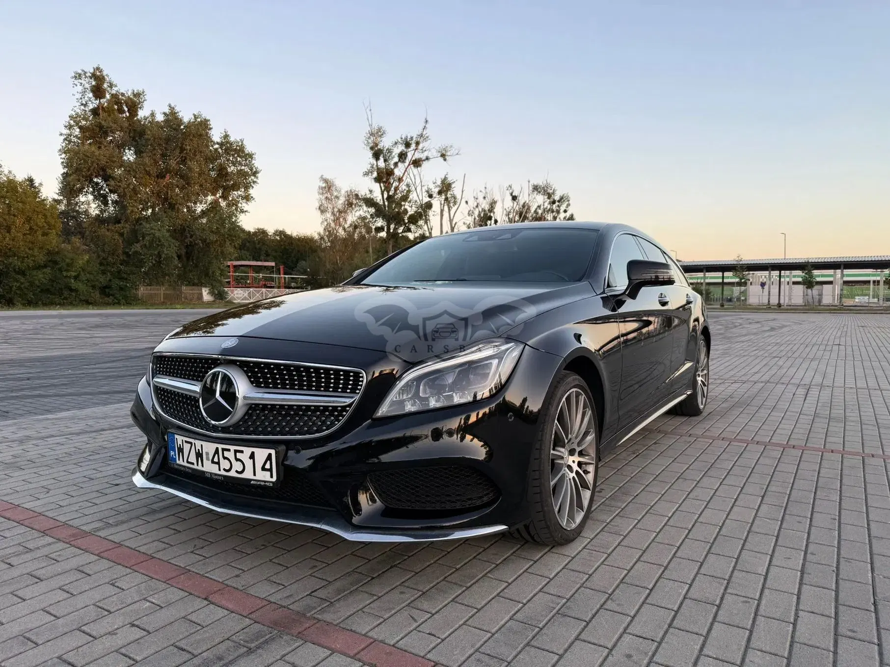 Mercedes-Benz CLS C218 (2011-) 350 d 4-Matic 2017