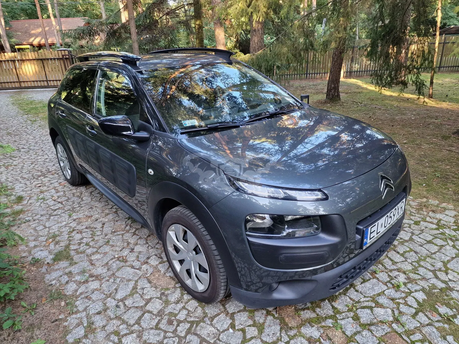 Citroën C4 Cactus 1.2 PureTech MoreLife S&S ETG 2016