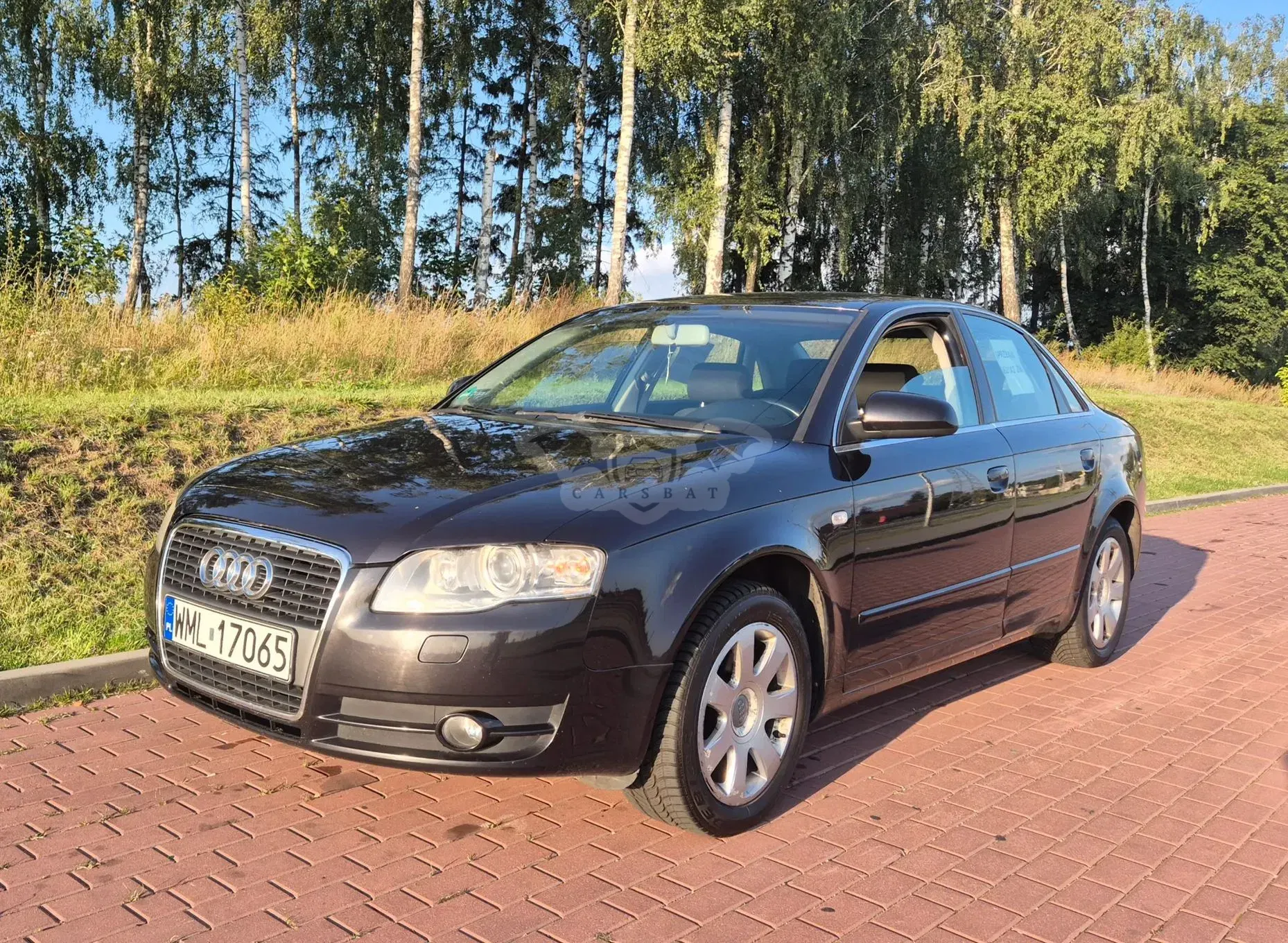 Audi A4 B7 (2004-2007) 2007
