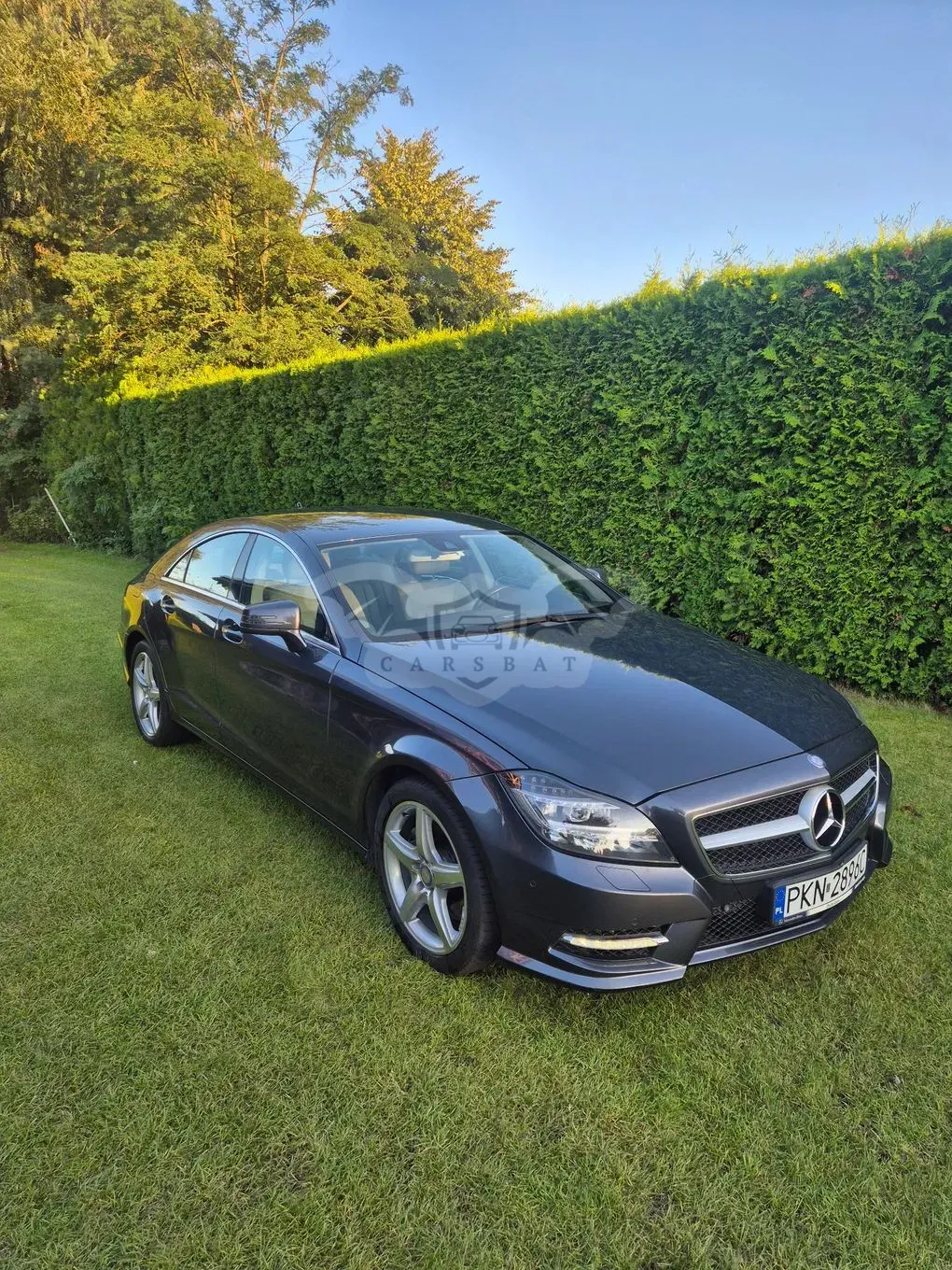 Mercedes-Benz CLS C218 (2011-) 350 CDI 4-Matic BlueEff 2013