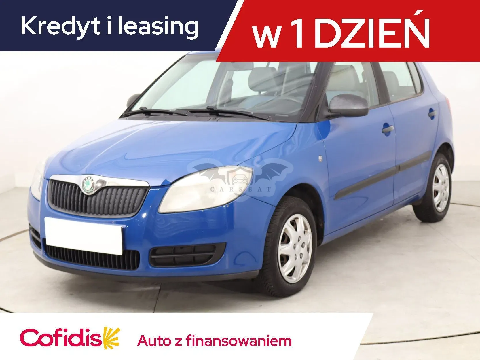 Skoda Fabia II (2007-2014) 2008