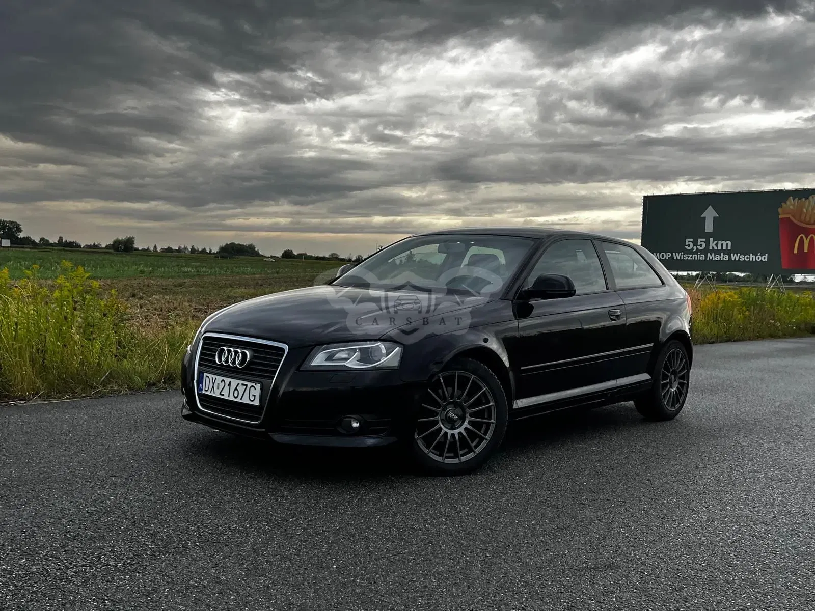 Audi A3 8P (2003-2012) 2009