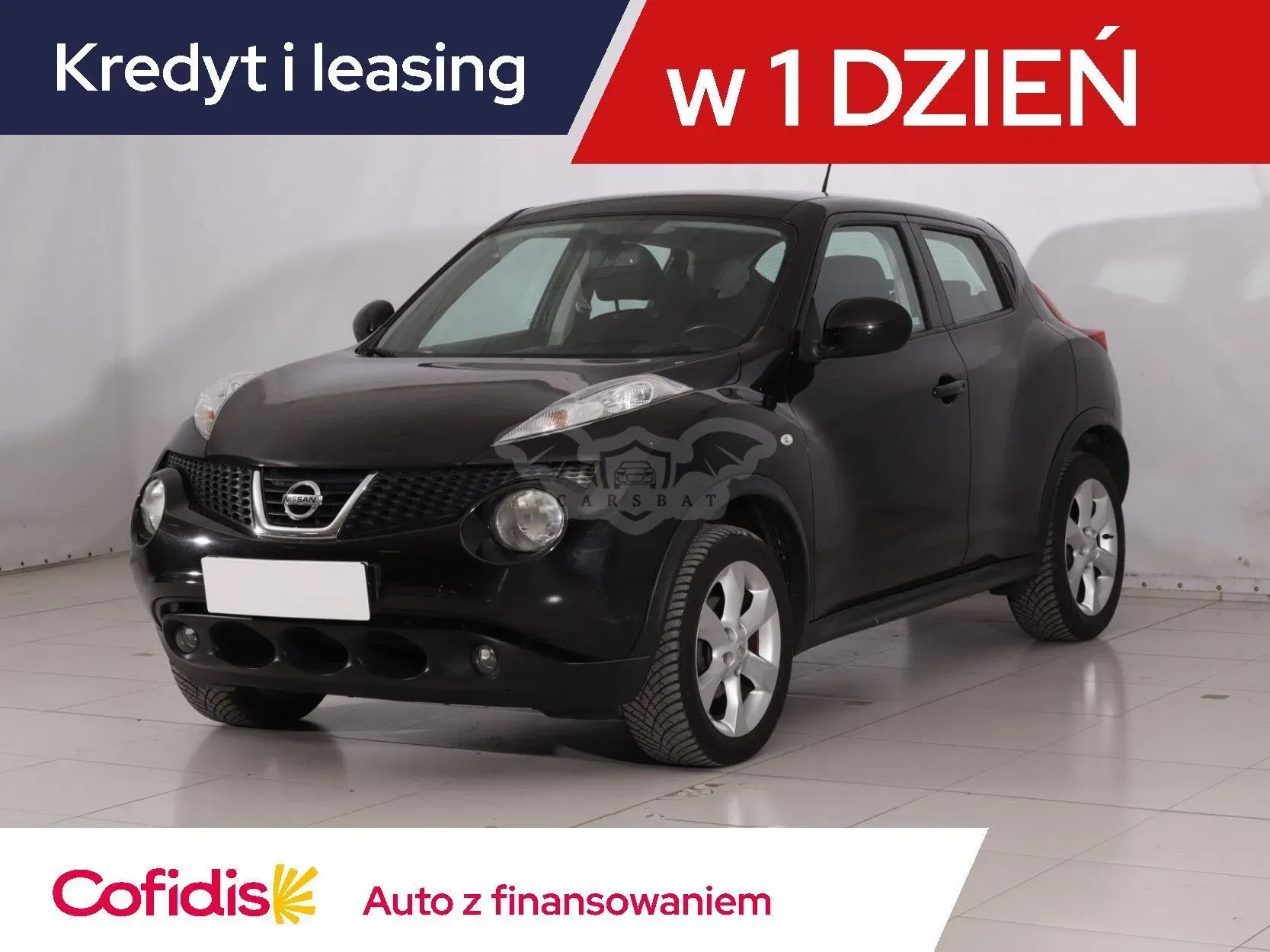 Nissan Juke I (2010-2019) 2012