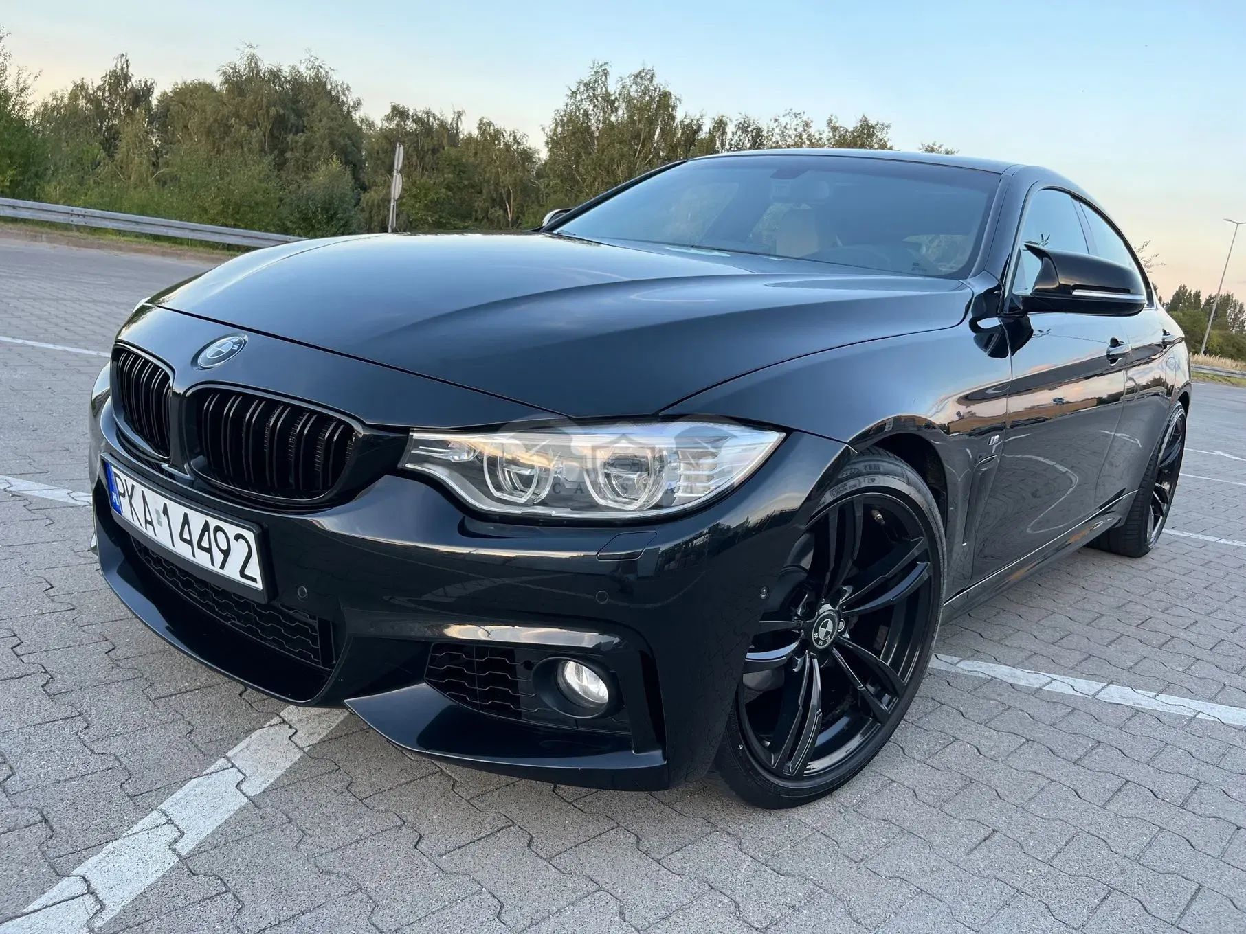 BMW 4 Series I F32/F33/F82 (2013-2020) 420d 2014