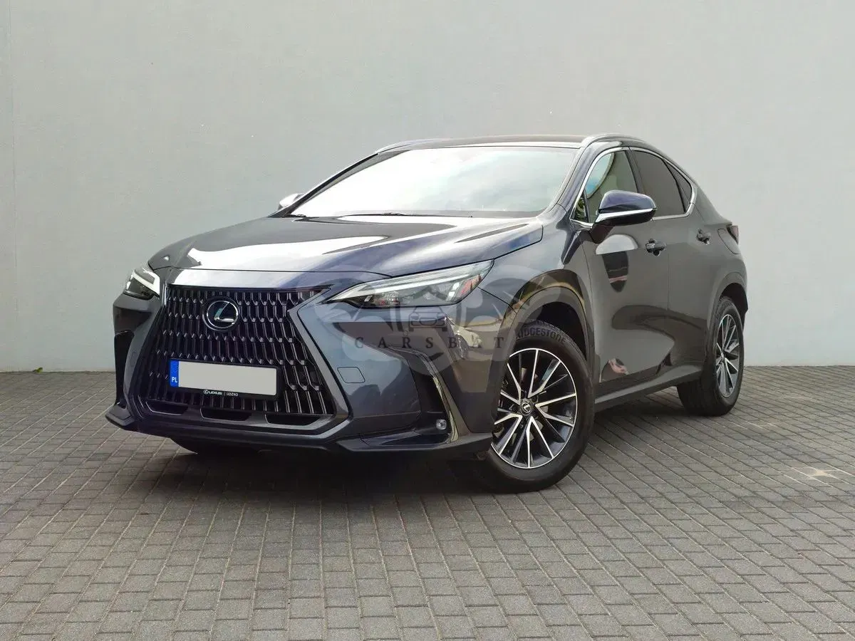 Lexus NX II (2021-) 2023