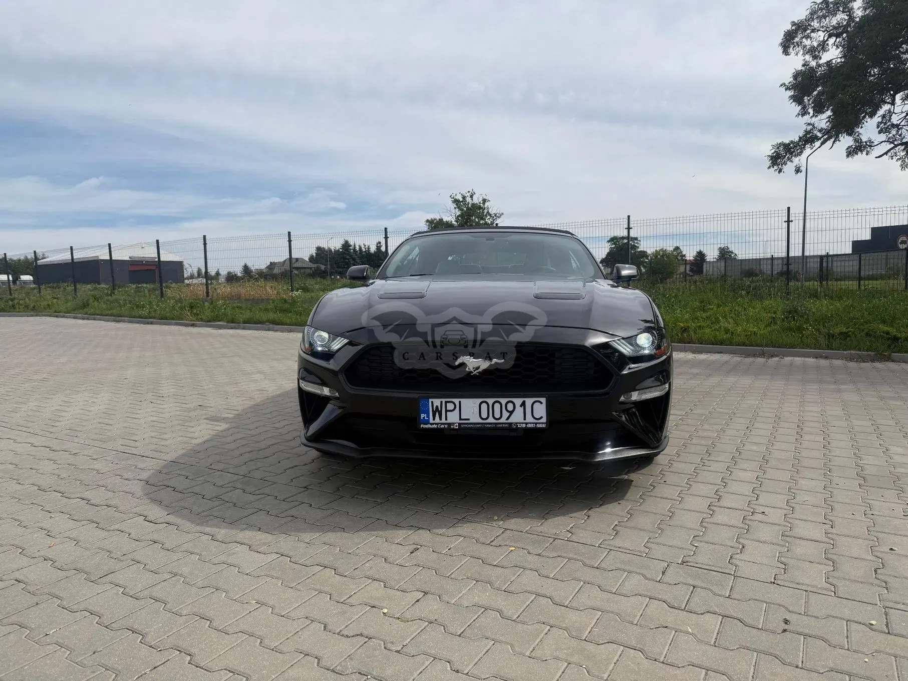 Ford Mustang 2020