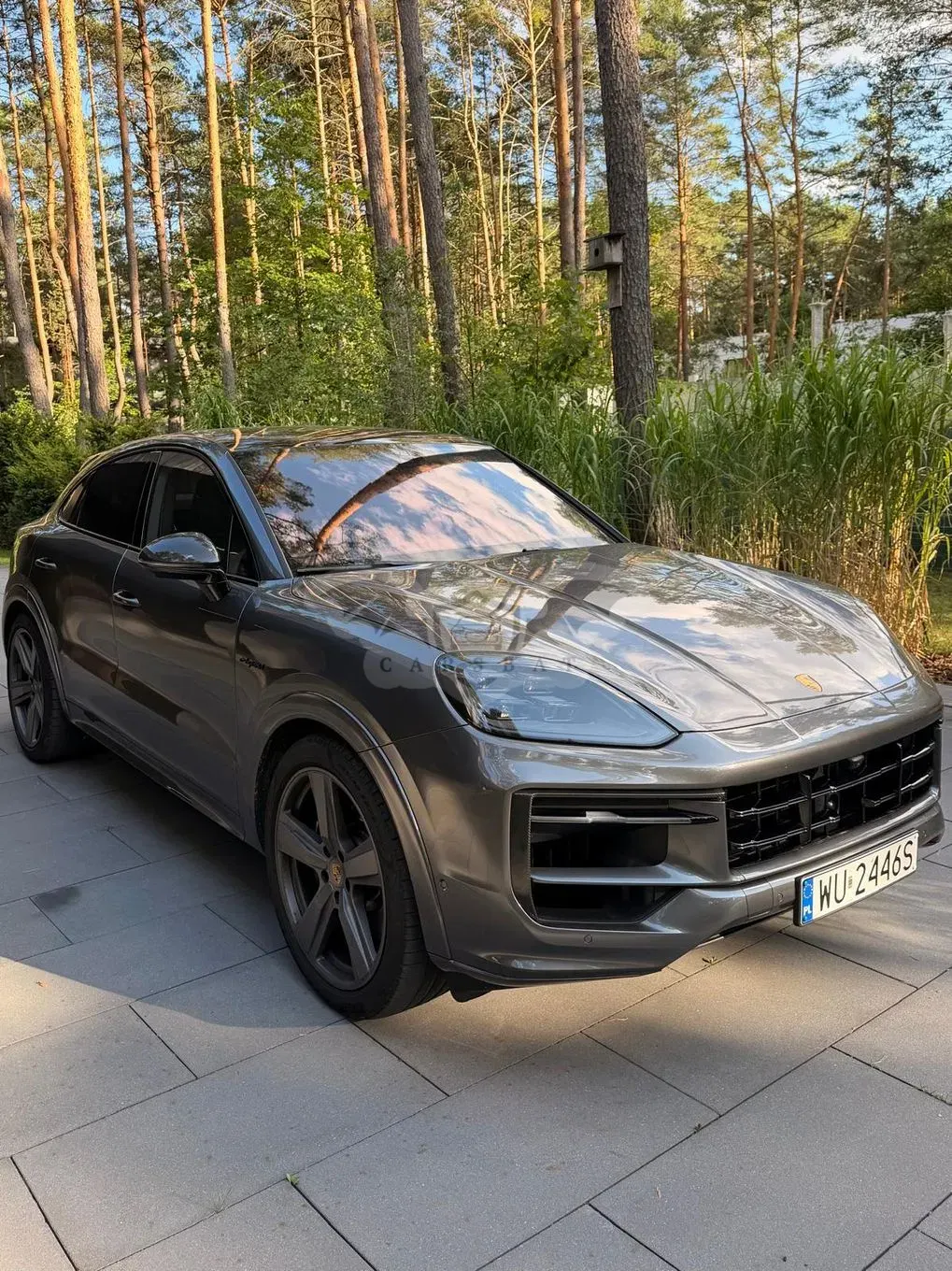 Porsche Cayenne III (2017-) S E-Hybrid PHEV 2024