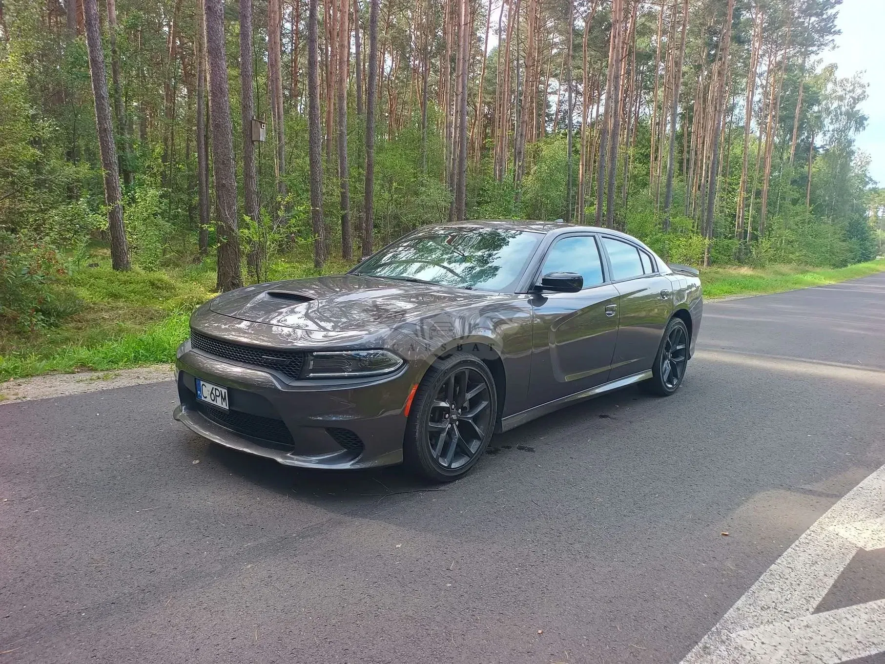 Dodge Charger 3.6 GT 2023