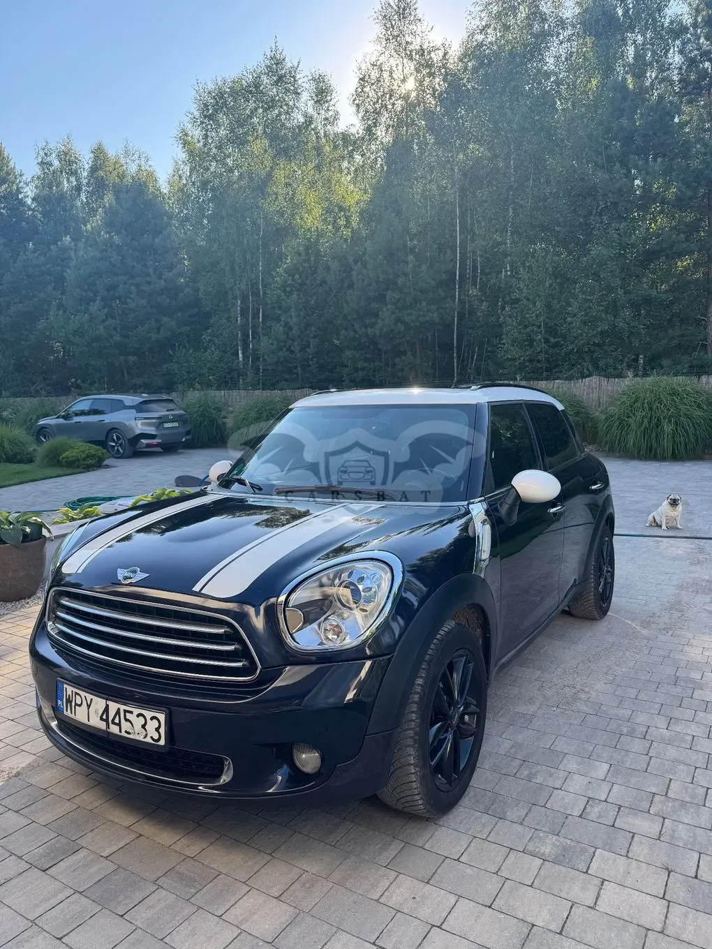 Mini Countryman One D EU6 2011