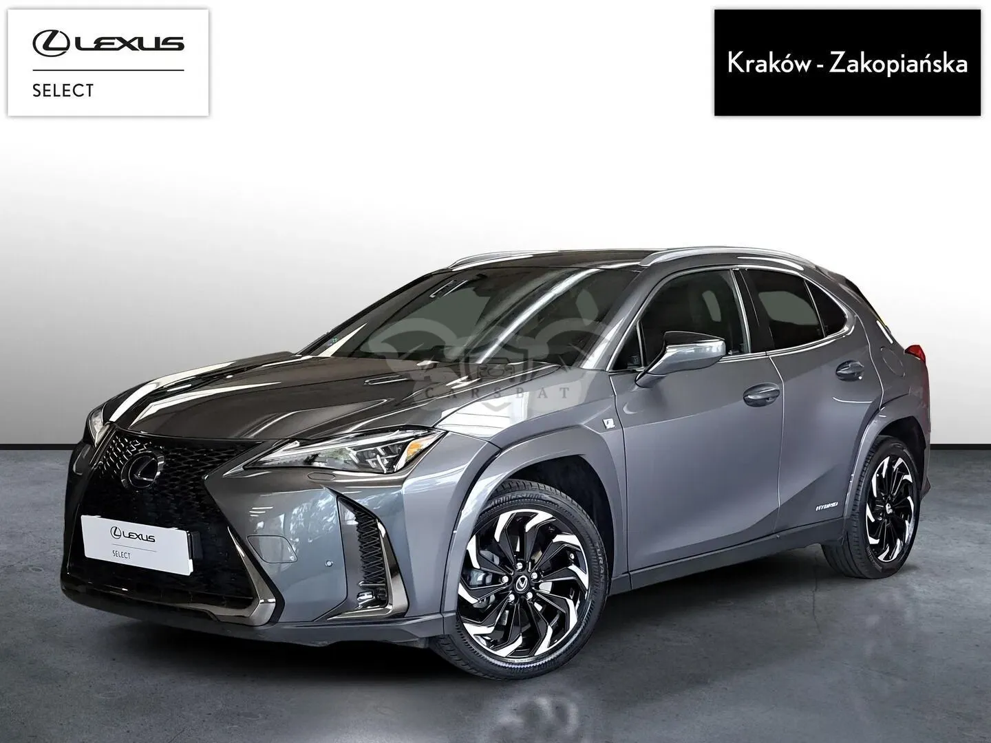 Lexus UX 250h GPF F Sport AWD 2021
