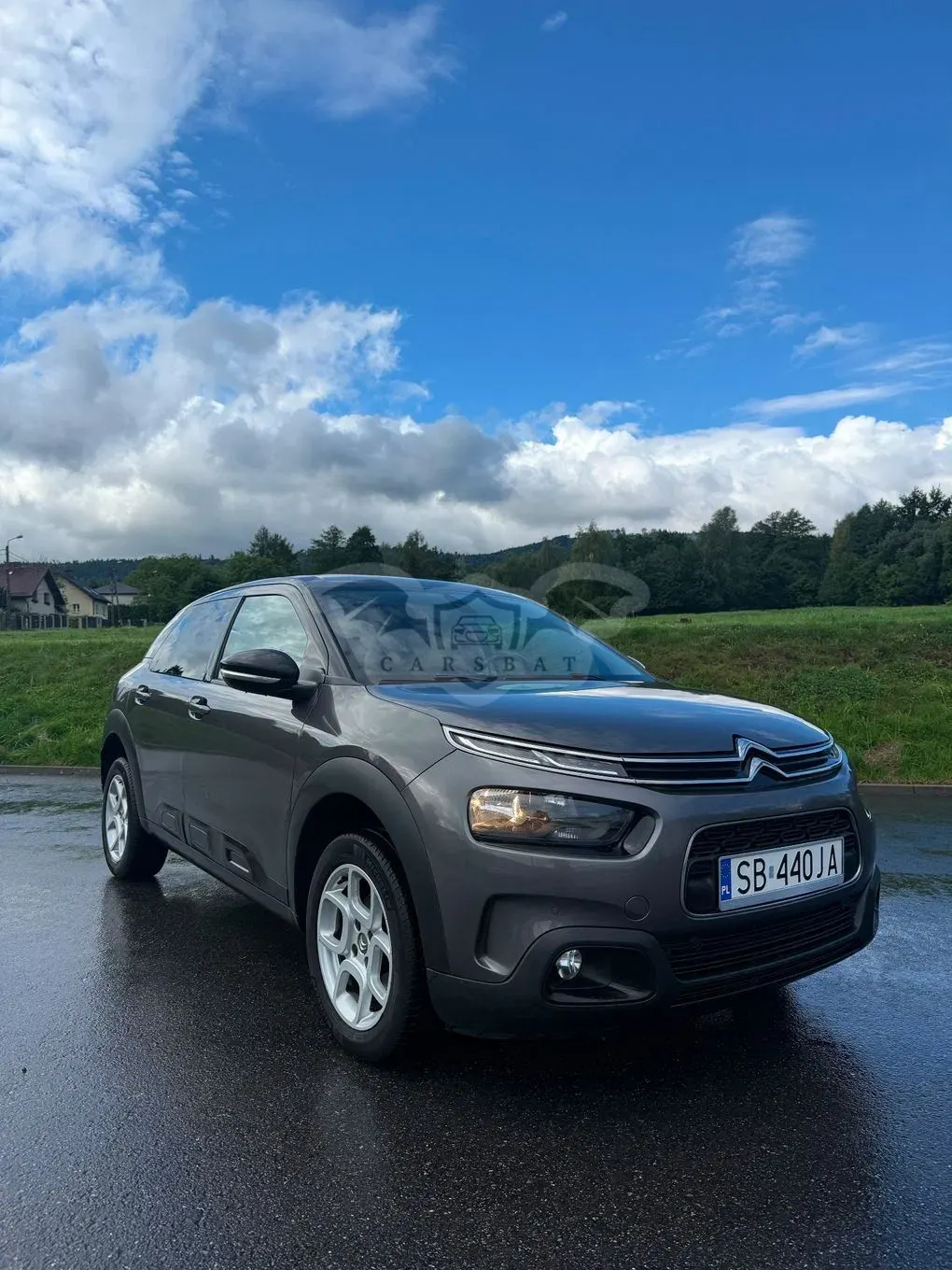 Citroën C4 Cactus 1.2 PureTech Feel Edition S&S 2018