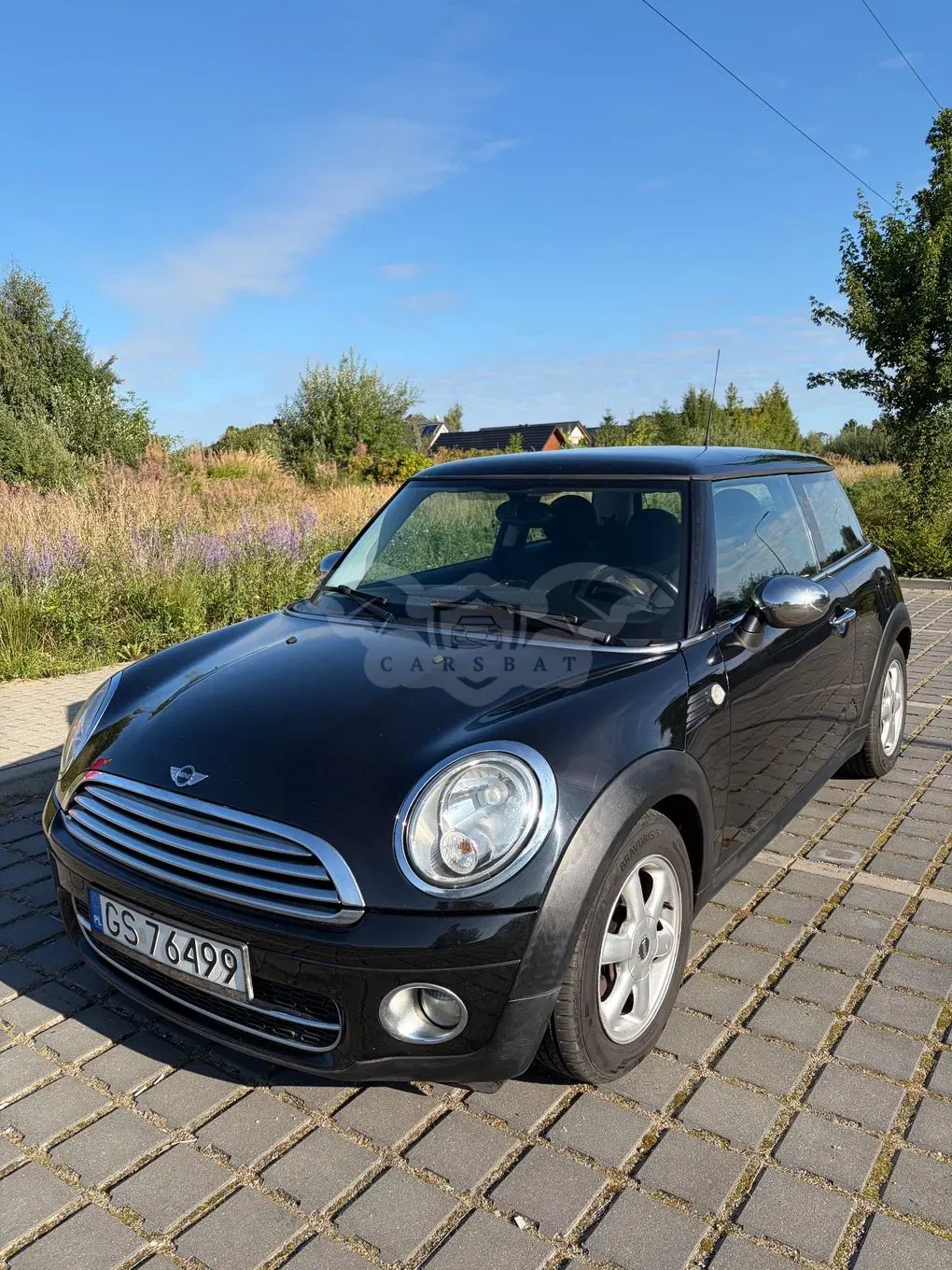 Mini One D 2009