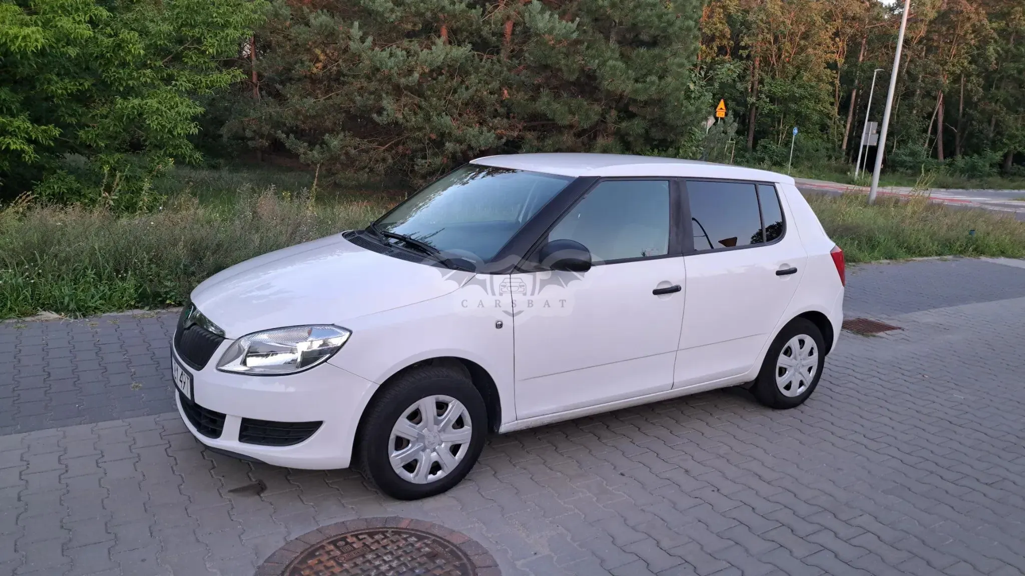 Skoda Fabia II (2007-2014) 1.4 16V Active 2012