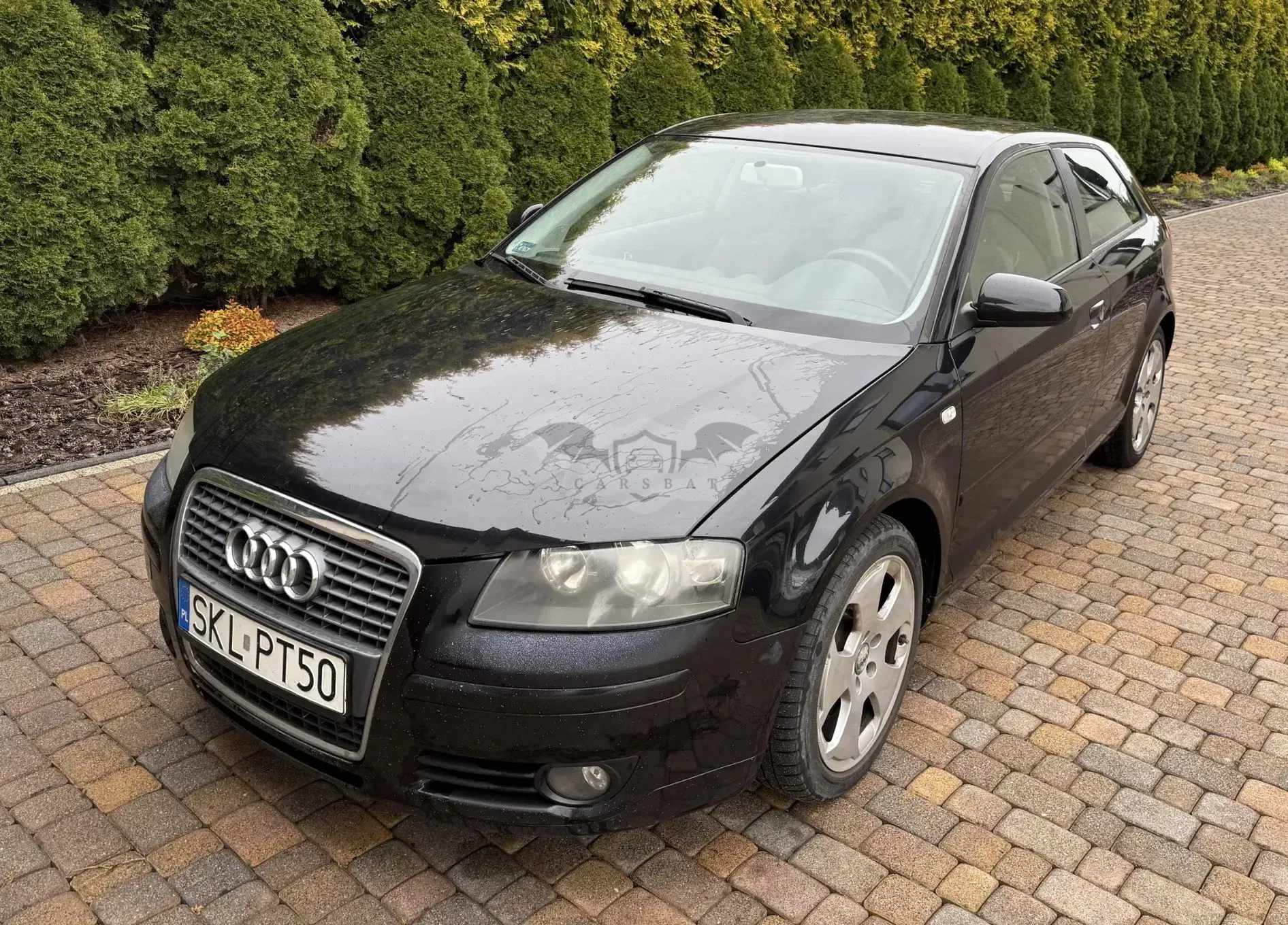 Audi A3 8P (2003-2012) 2.0 TDI DPF Ambiente 2007