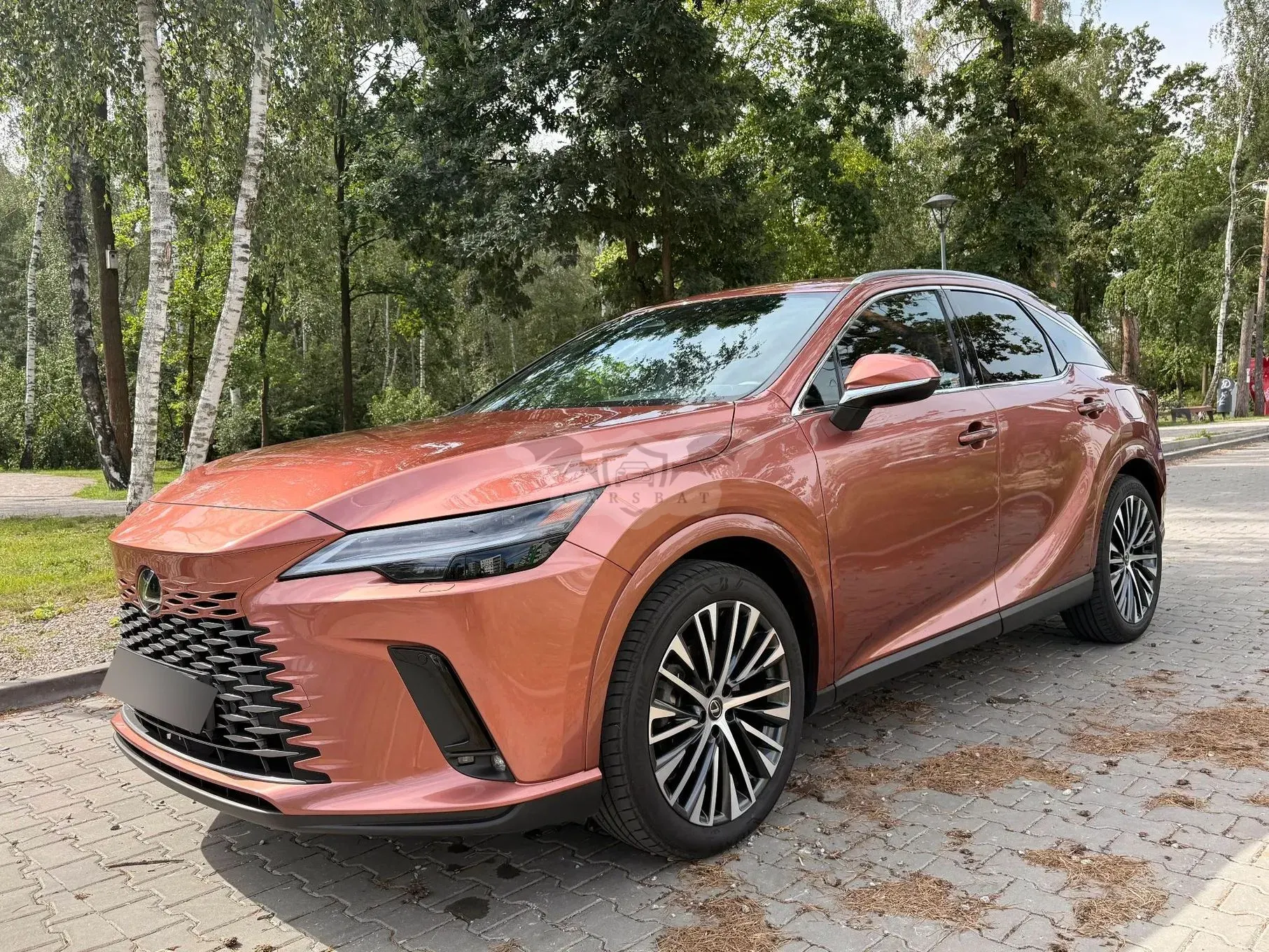 Lexus RX V (2022-) 300 Business Edition 2024