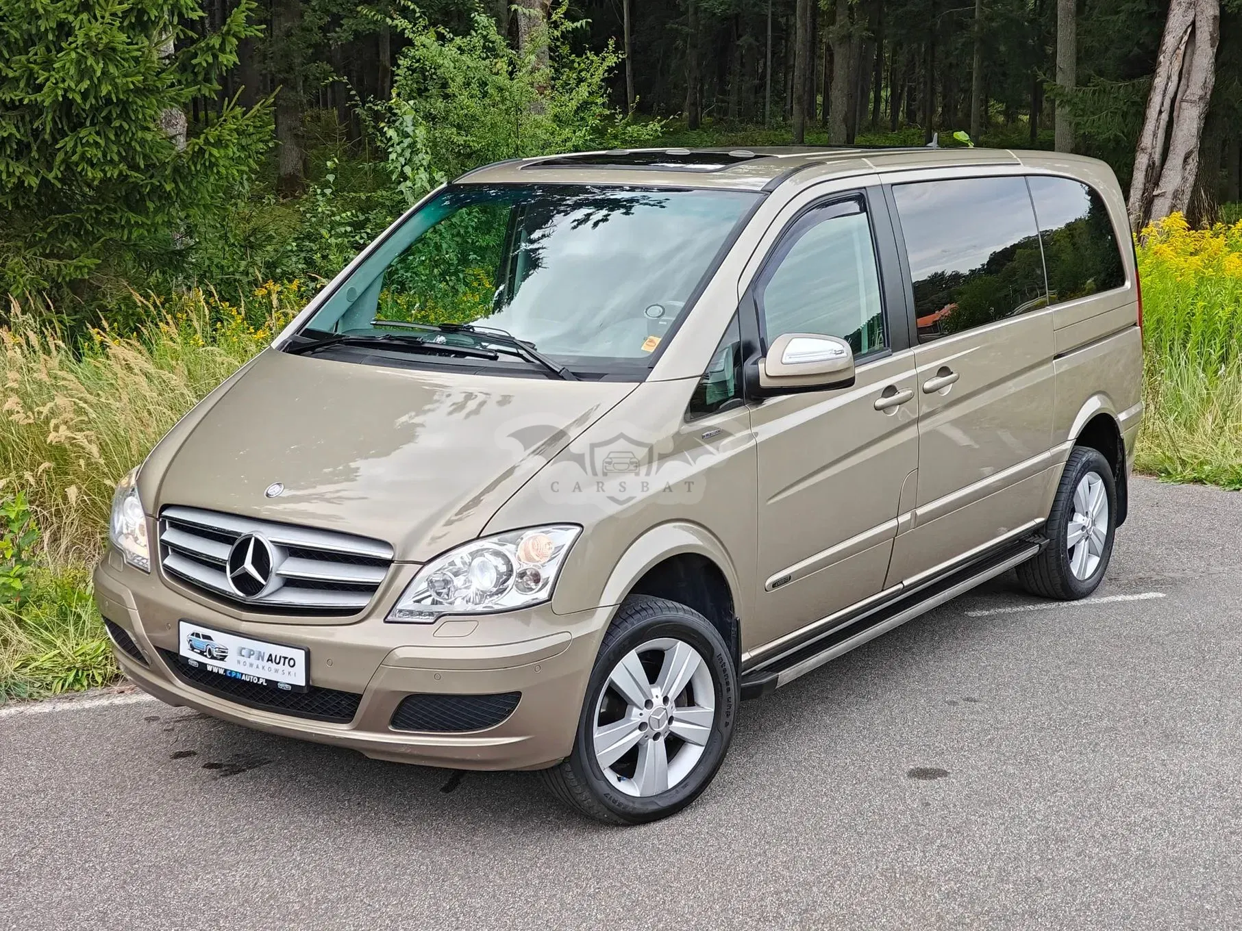 Mercedes-Benz Viano 2011