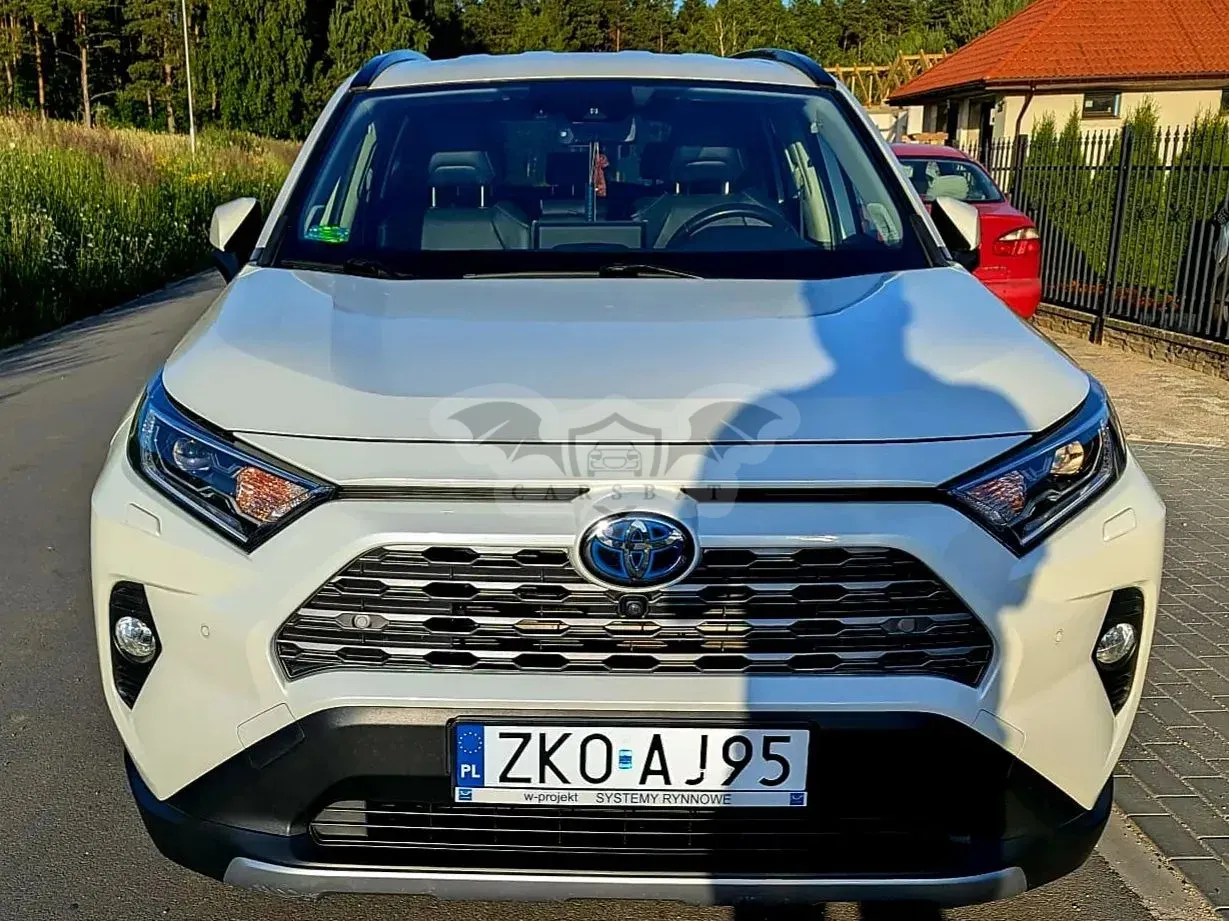 Toyota Rav4 V (2018-) 2019