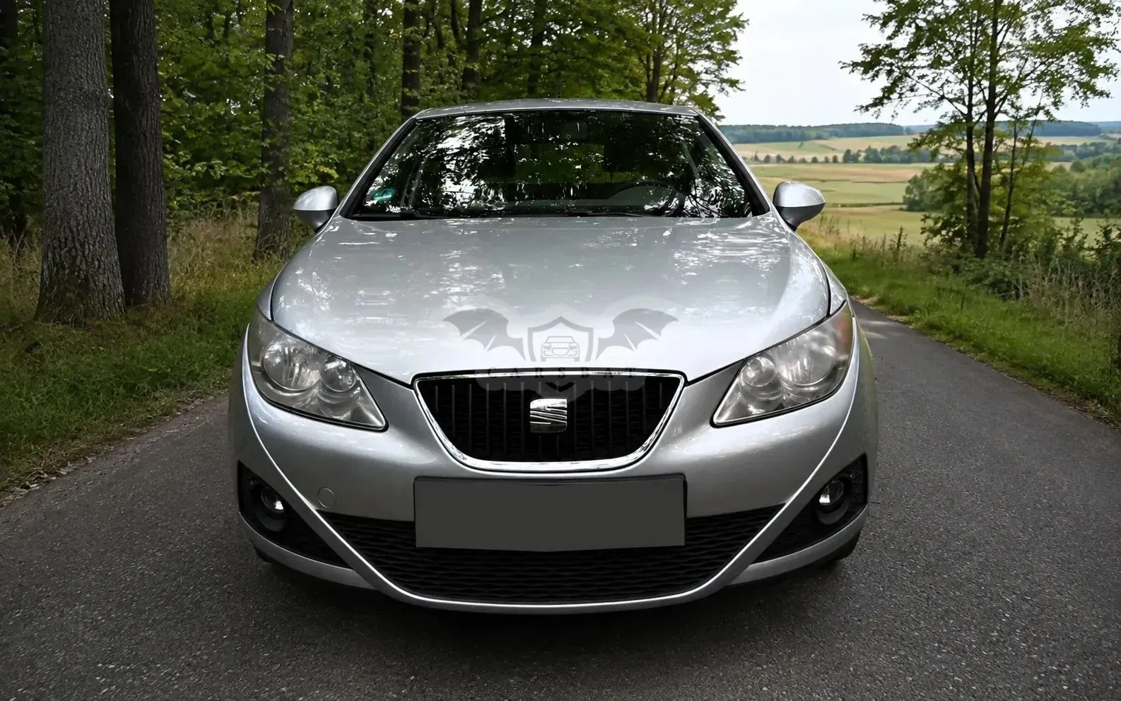 Seat Ibiza IV (2008-2017) 2010