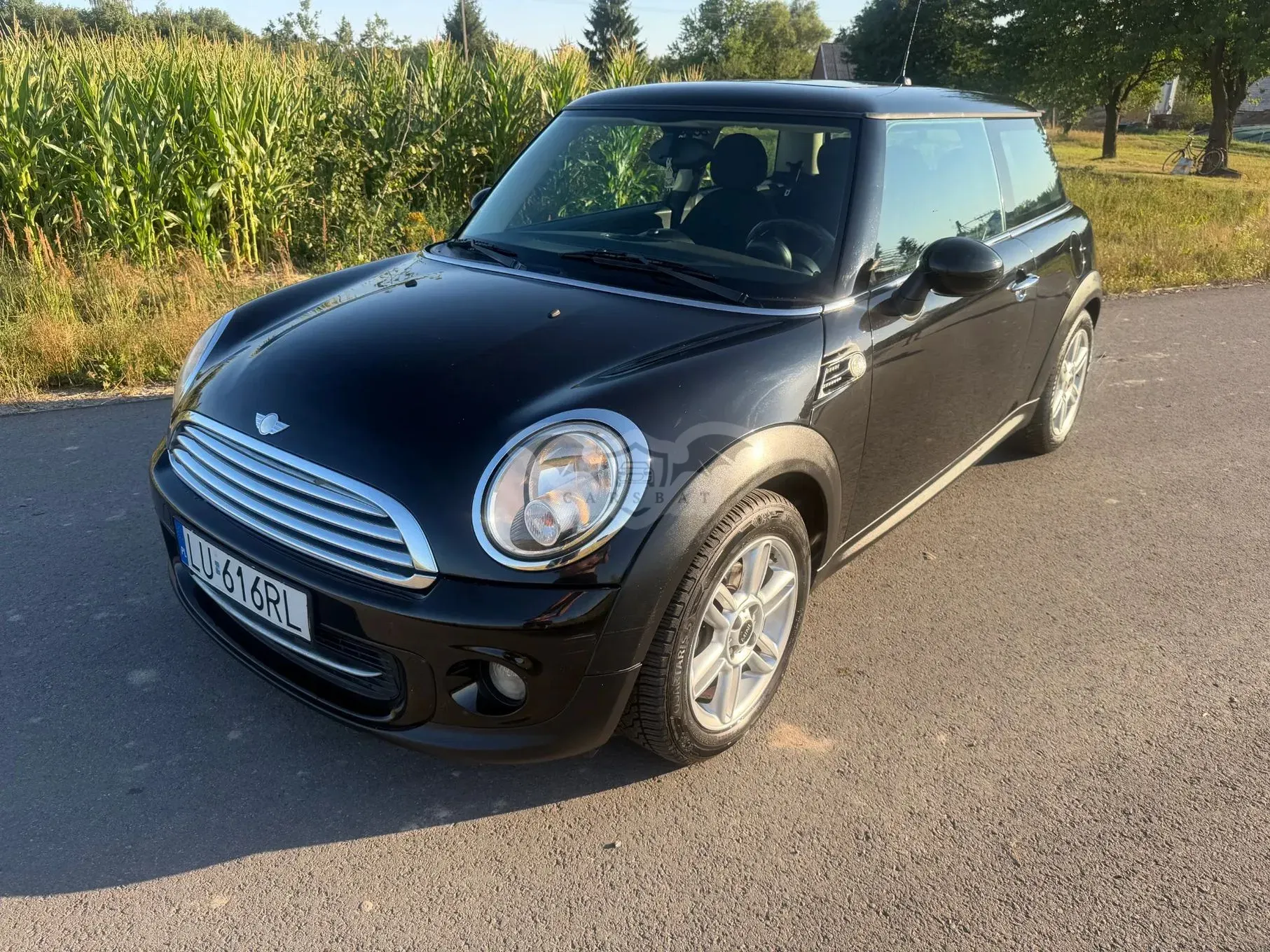 Mini Cooper 50 Mayfair 2012