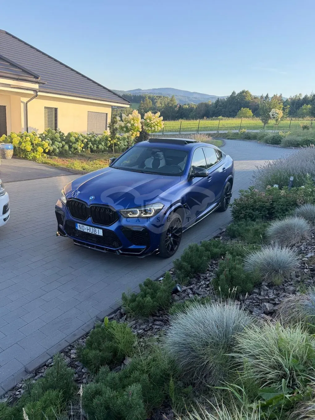 BMW X6 2021