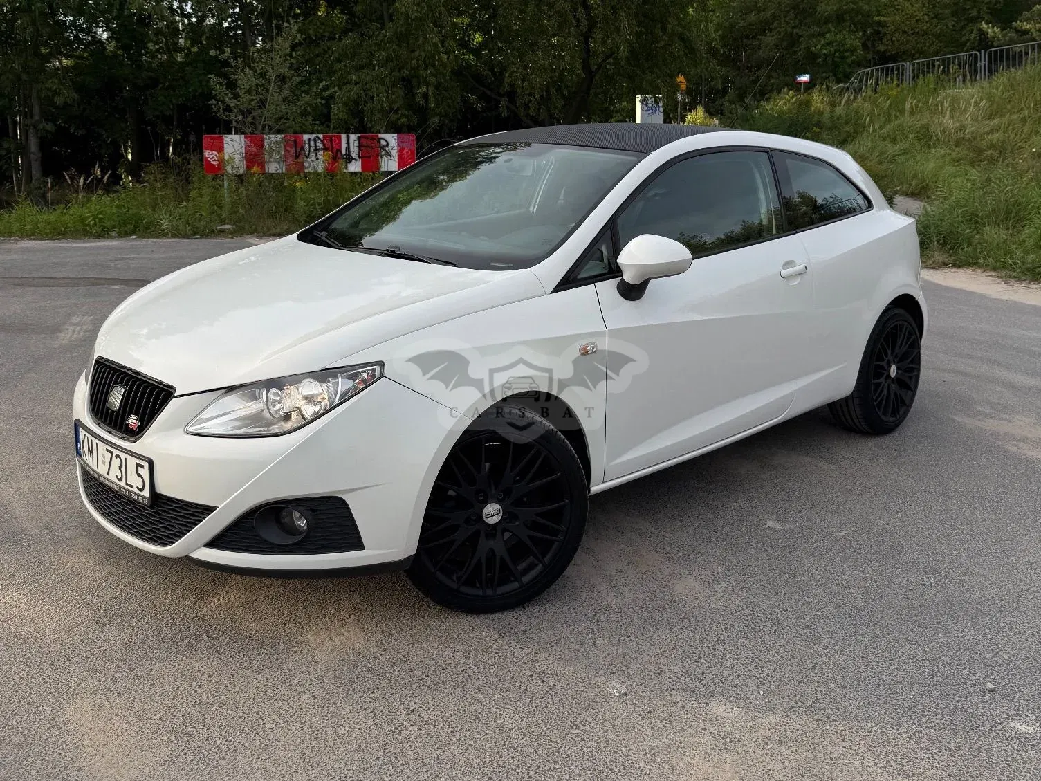 Seat Ibiza IV (2008-2017) 1.9 TDI FR 2008