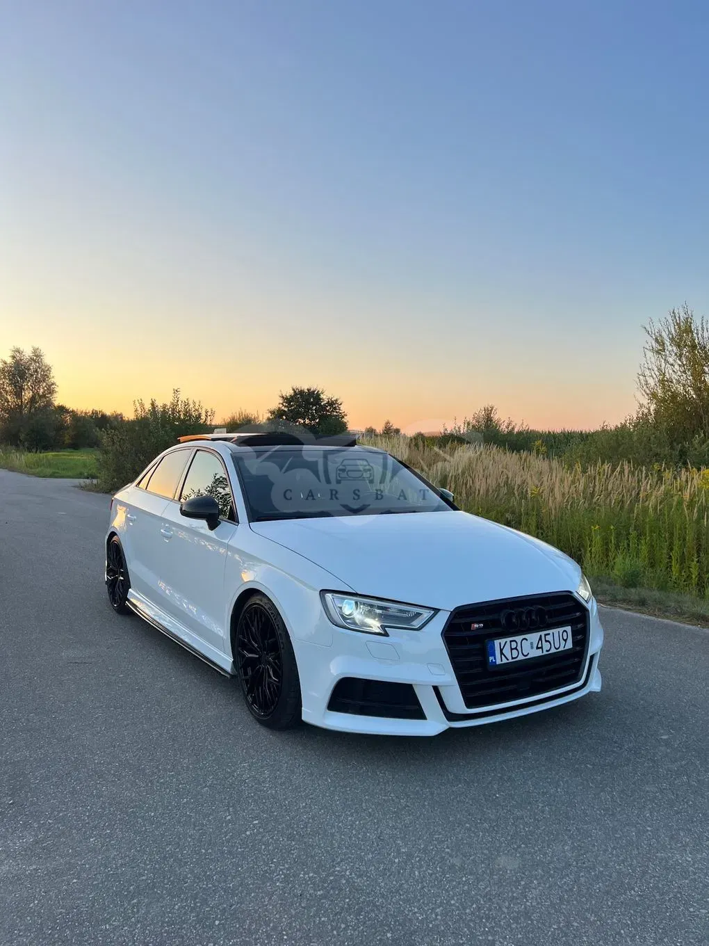 Audi A3 8V (2012-) 2.0 TFSI quattro S tronic design 2017