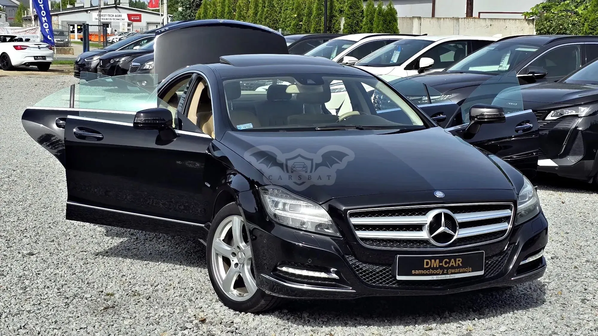 Mercedes-Benz CLS C218 (2011-) 350 CDI BlueEff 2011