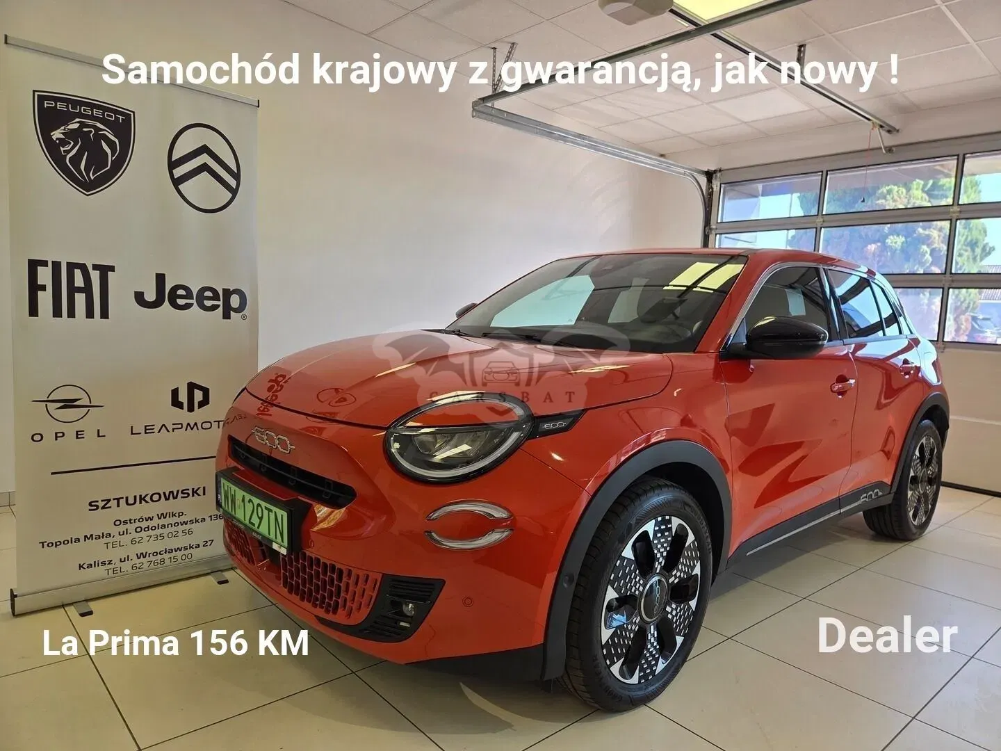 Fiat 600 2023