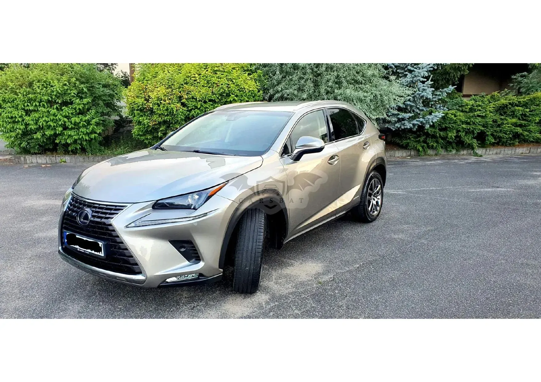 Lexus NX I (2014-2021) 300h Comfort AWD 2018