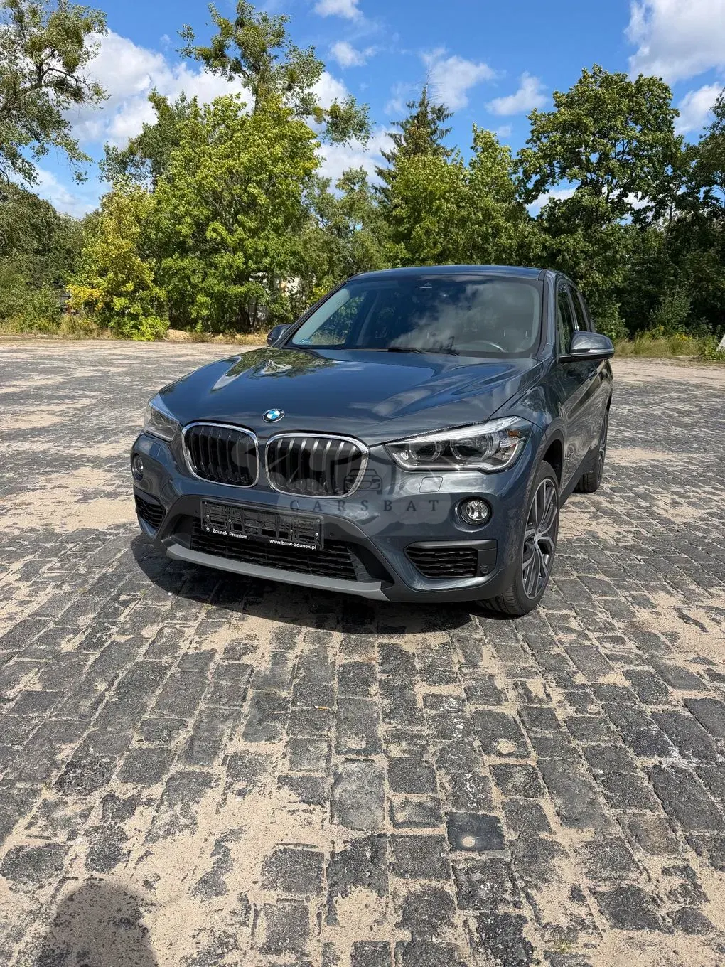 BMW X1 F48 (2015-2022) sDrive18i Advantage 2017
