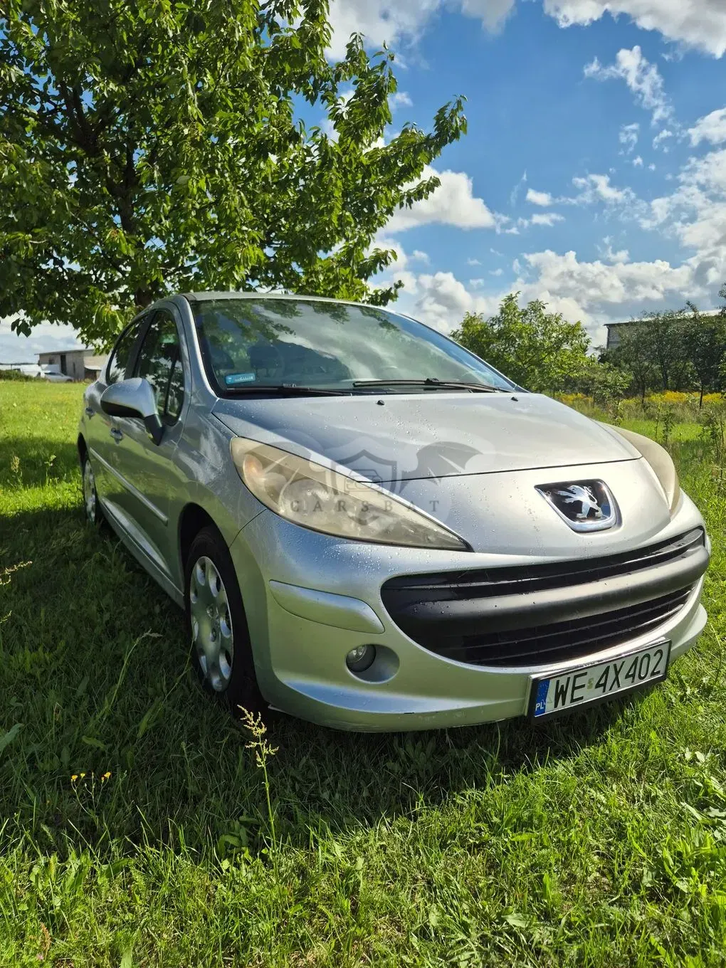 Peugeot 207 1.4 16V Trendy 2006