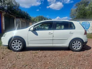 Volkswagen Golf V (2003-2009) 1.9 TDI Comfortline 2006