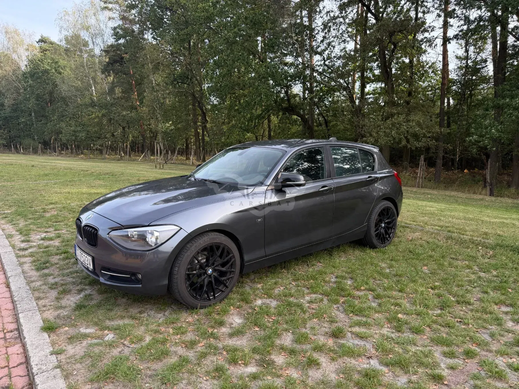 BMW 1 Series F20/F21 (2011-2019) 118d Sport Line 2011